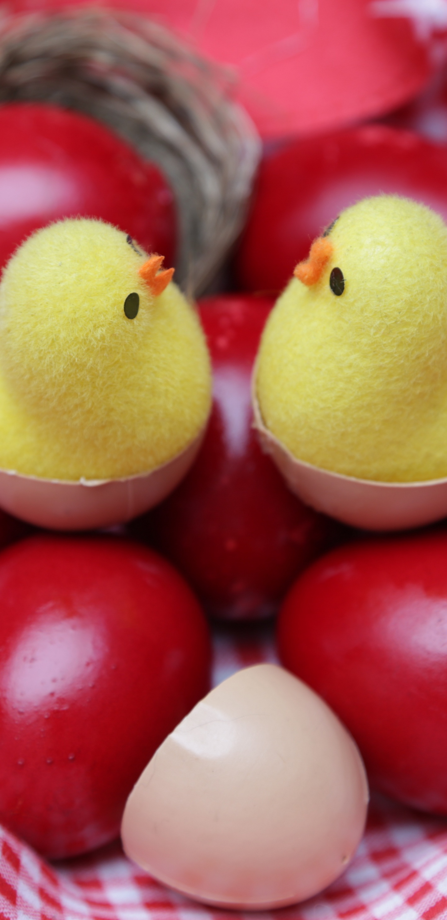 Oeuf de Pâques, Oeuf, Aliment, Fruits, Plats. Wallpaper in 1440x2960 Resolution