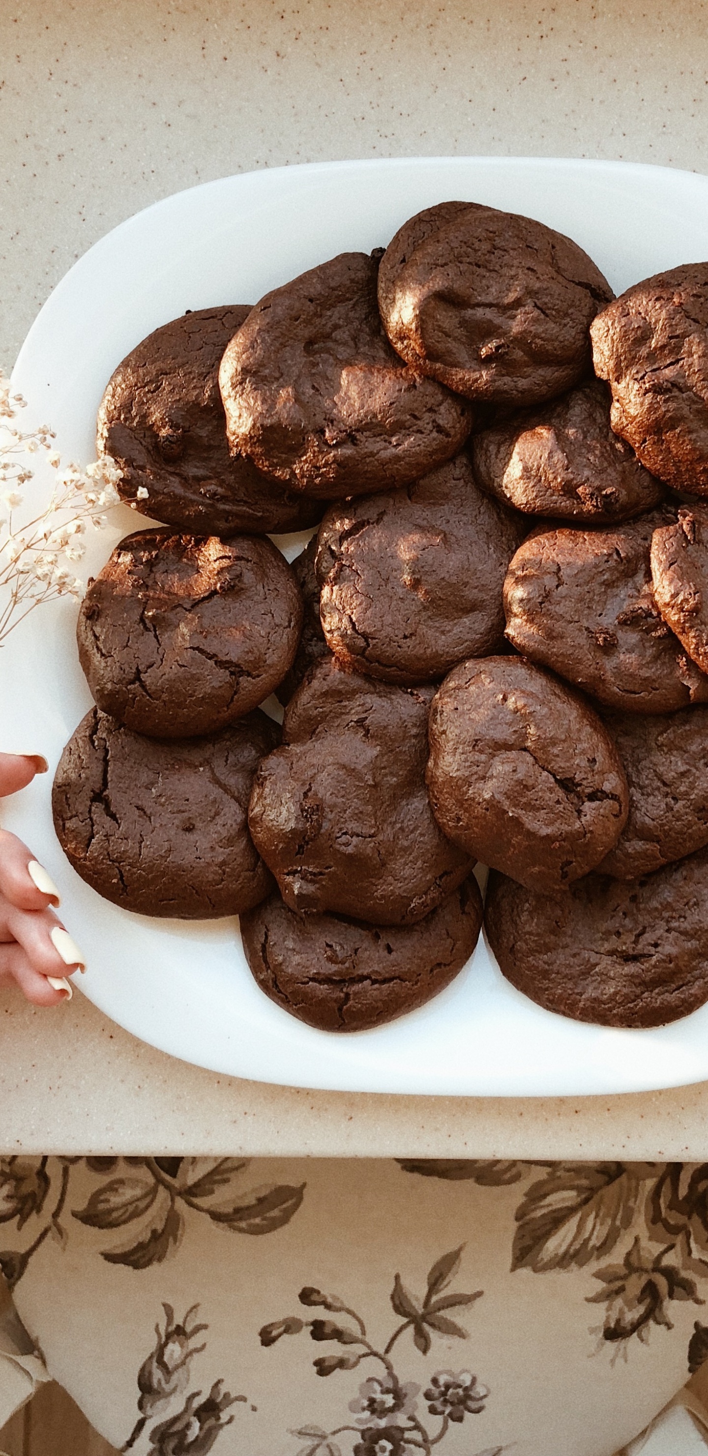 Les Biscuits et Les Craquelins, Brownie au Chocolat, Truquer, Cuisson, Lebkuchen. Wallpaper in 1440x2960 Resolution