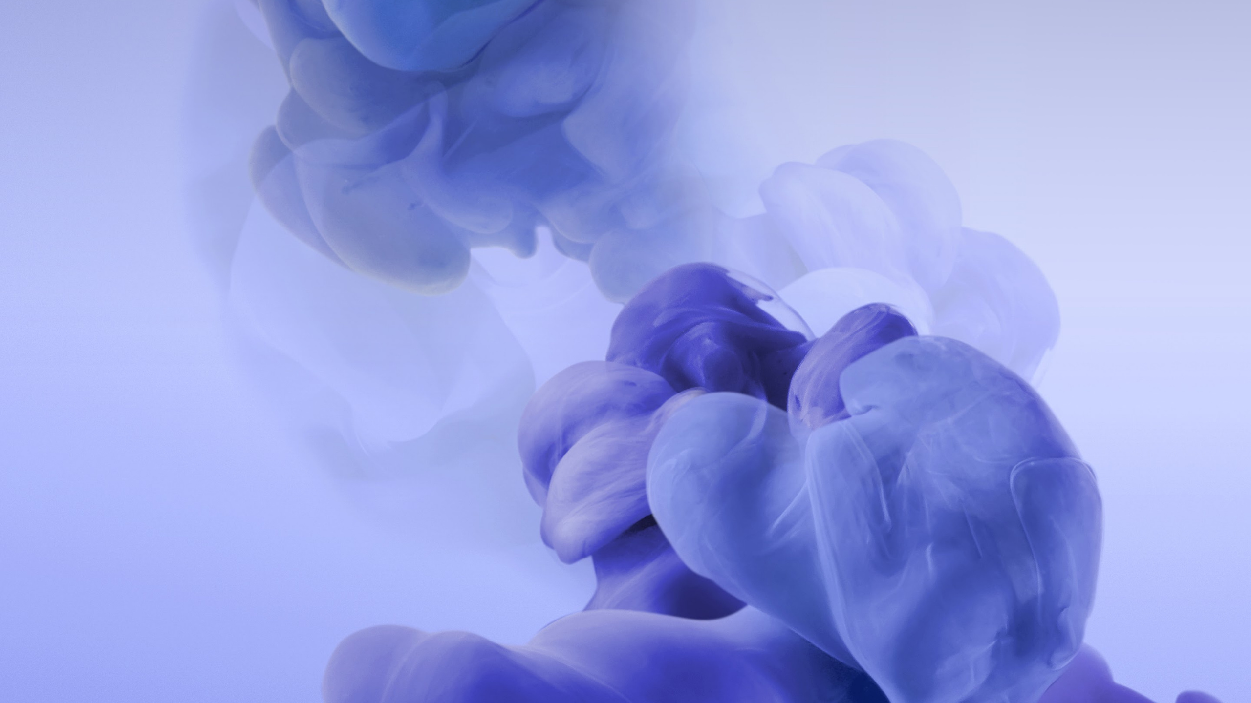 HTC, HTC U11, HTC U Ultra, Htc u Play, Smartphone. Wallpaper in 2560x1440 Resolution