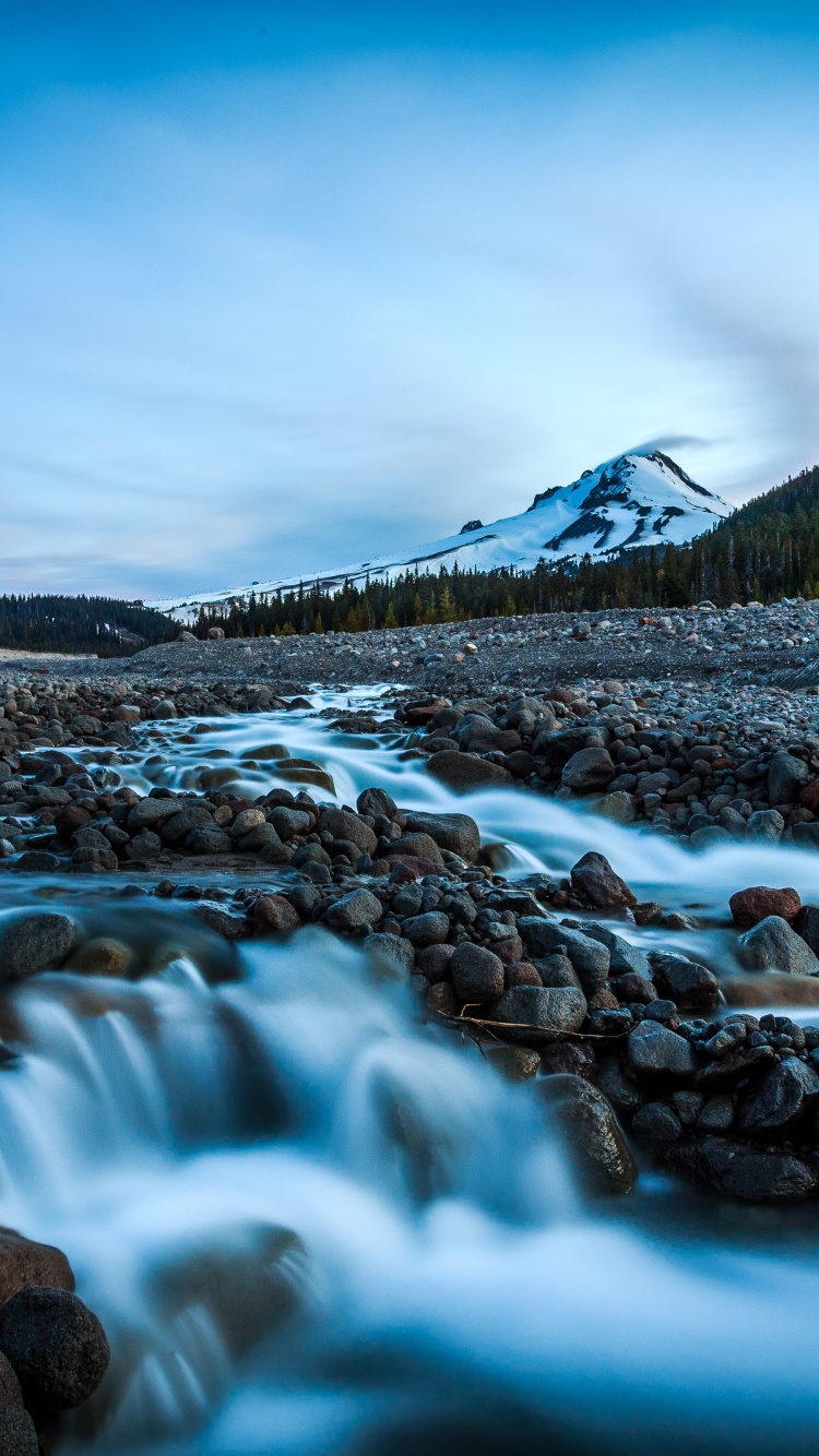 mt Hood National Forest, Oregon, Mountain, Yosemite National Park, River. Wallpaper in 750x1334 Resolution