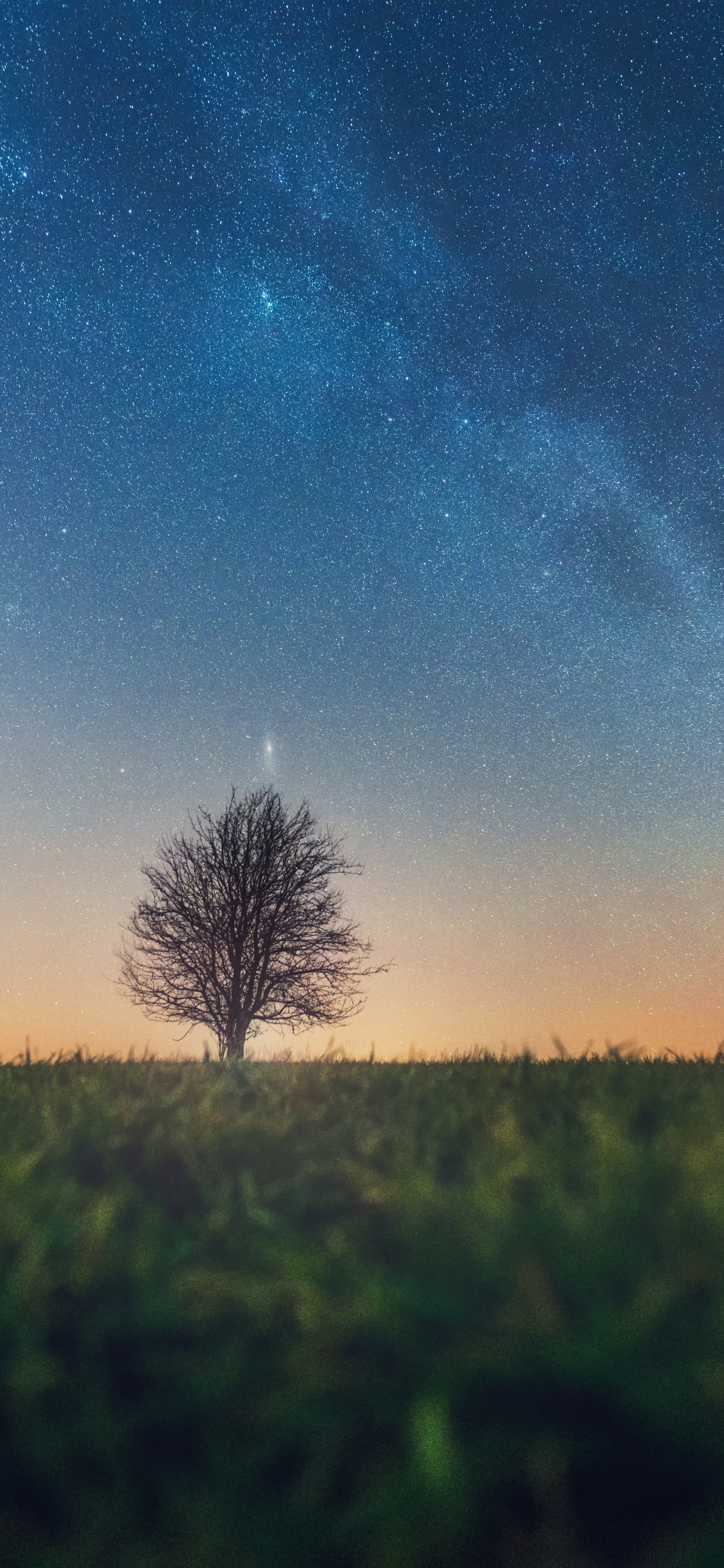 Paysage Naturel, Horizon, Atmosphère, Matin, Nuit. Wallpaper in 1125x2436 Resolution