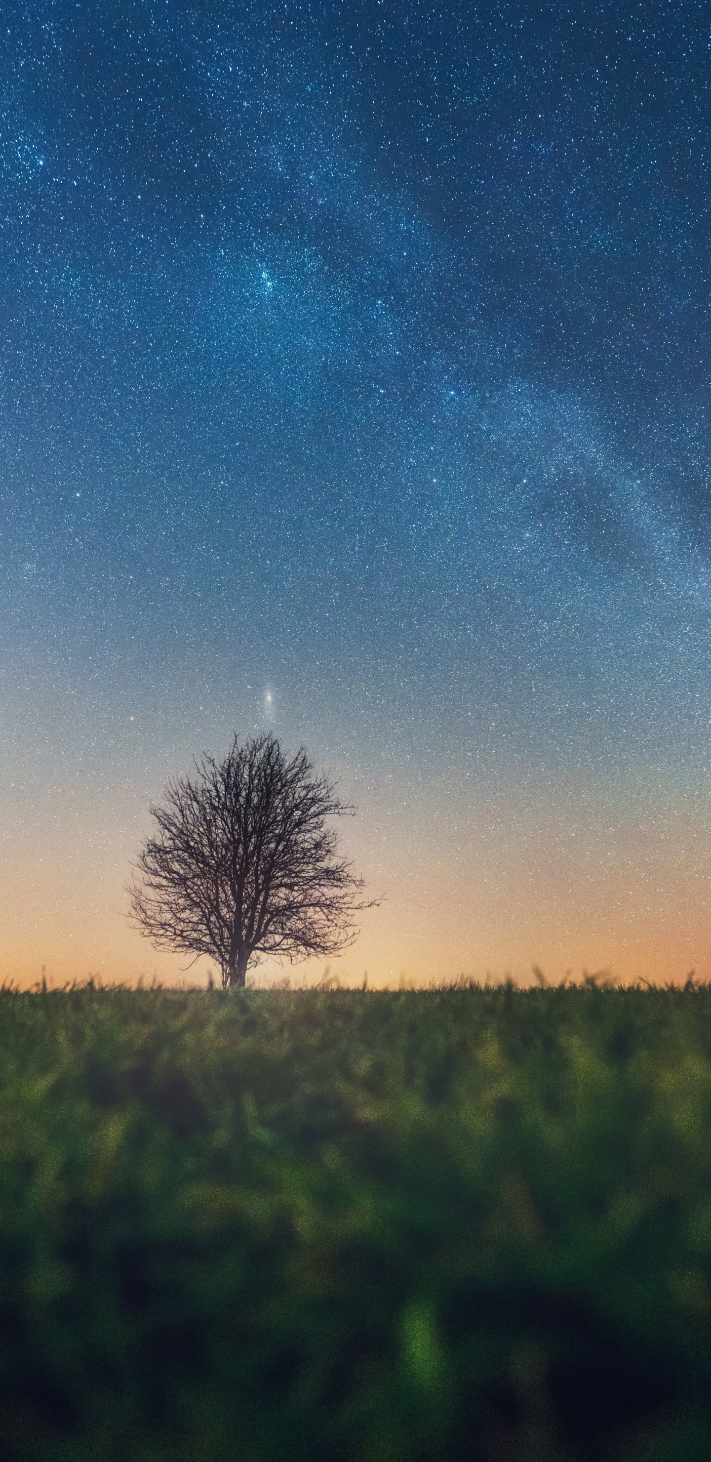 Paysage Naturel, Horizon, Atmosphère, Matin, Nuit. Wallpaper in 1440x2960 Resolution