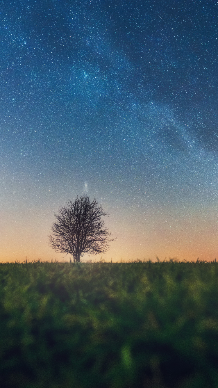 Paysage Naturel, Horizon, Atmosphère, Matin, Nuit. Wallpaper in 750x1334 Resolution