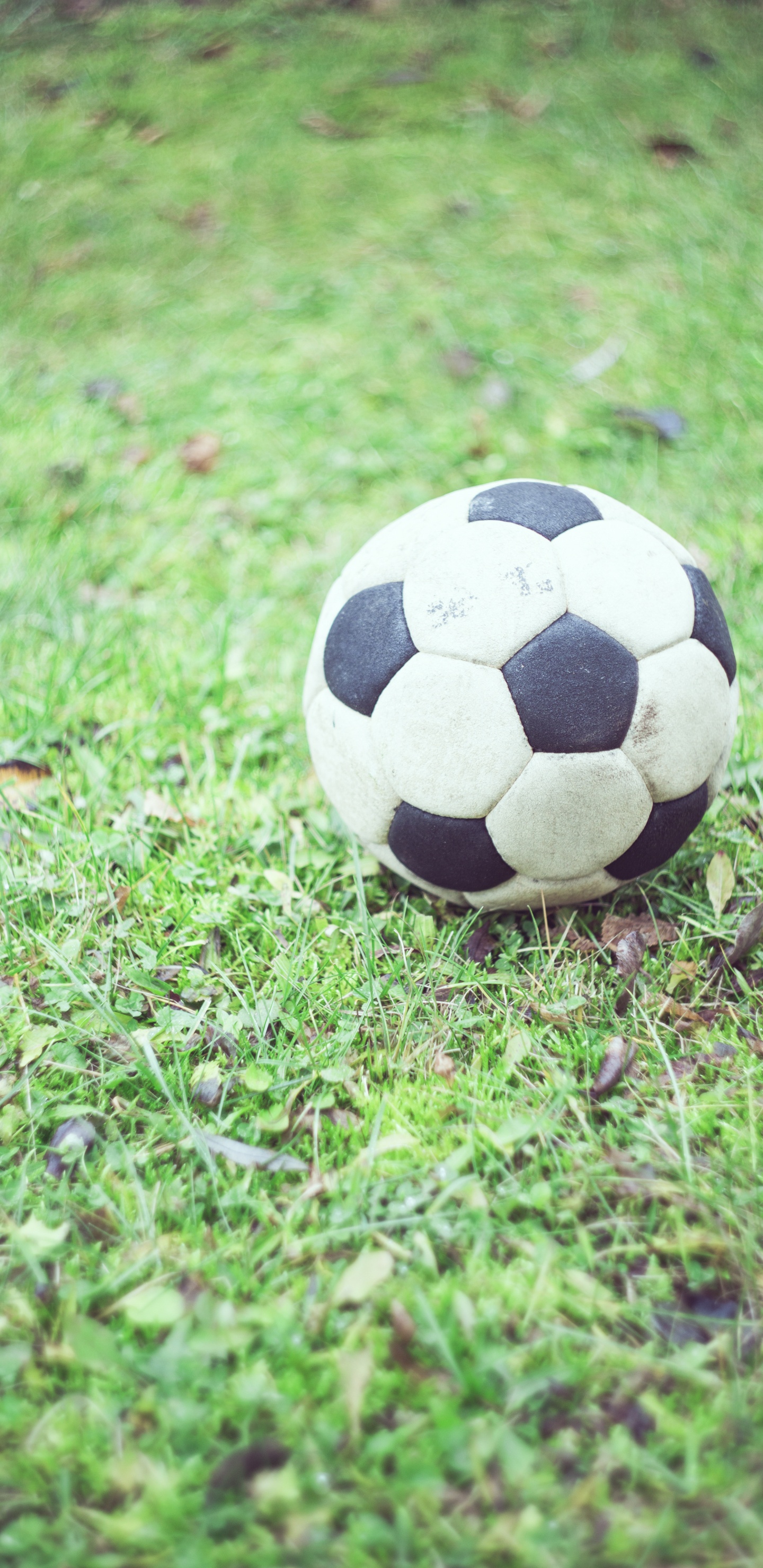 Weißer Und Schwarzer Fußball Auf Grünem Rasen Während Des Tages. Wallpaper in 1440x2960 Resolution