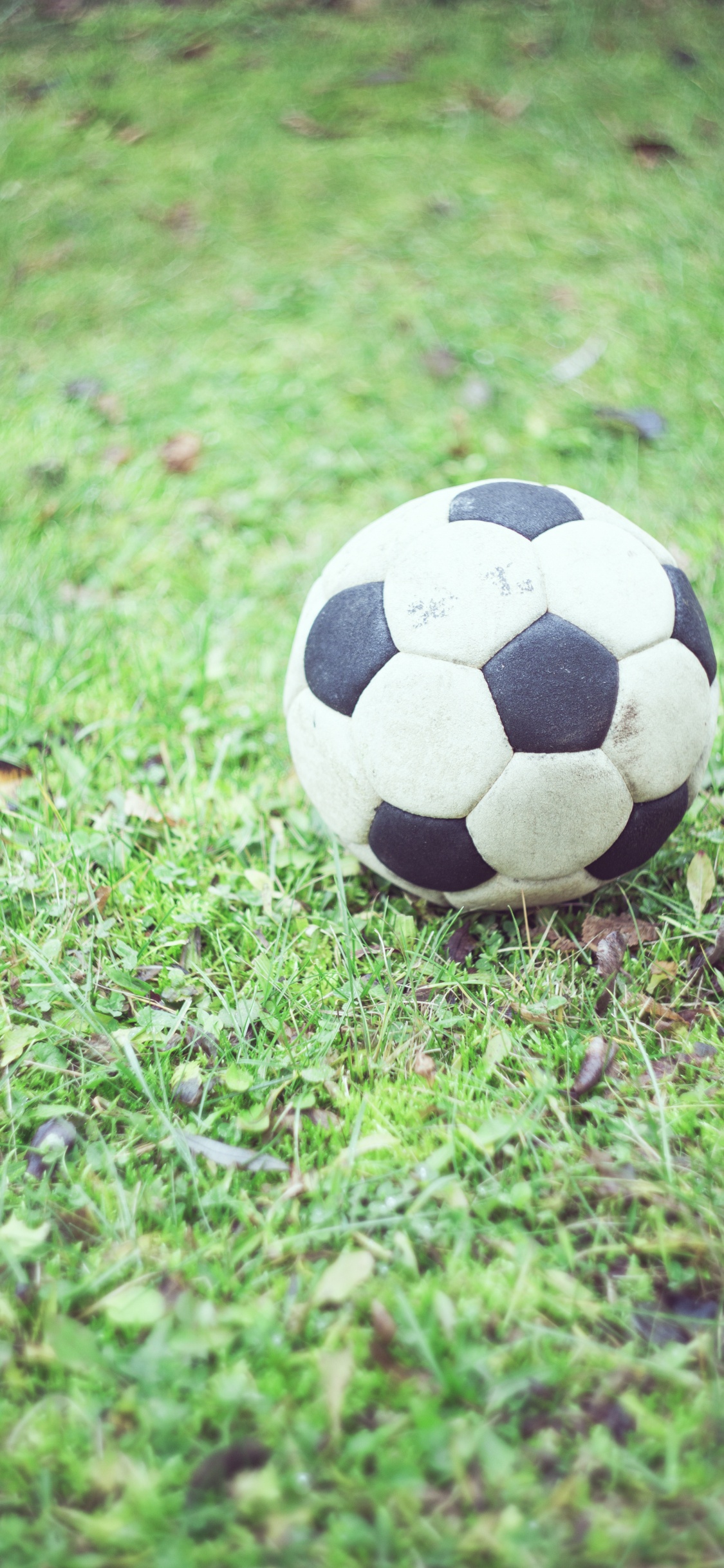 White and Black Soccer Ball on Green Grass Field During Daytime. Wallpaper in 1125x2436 Resolution
