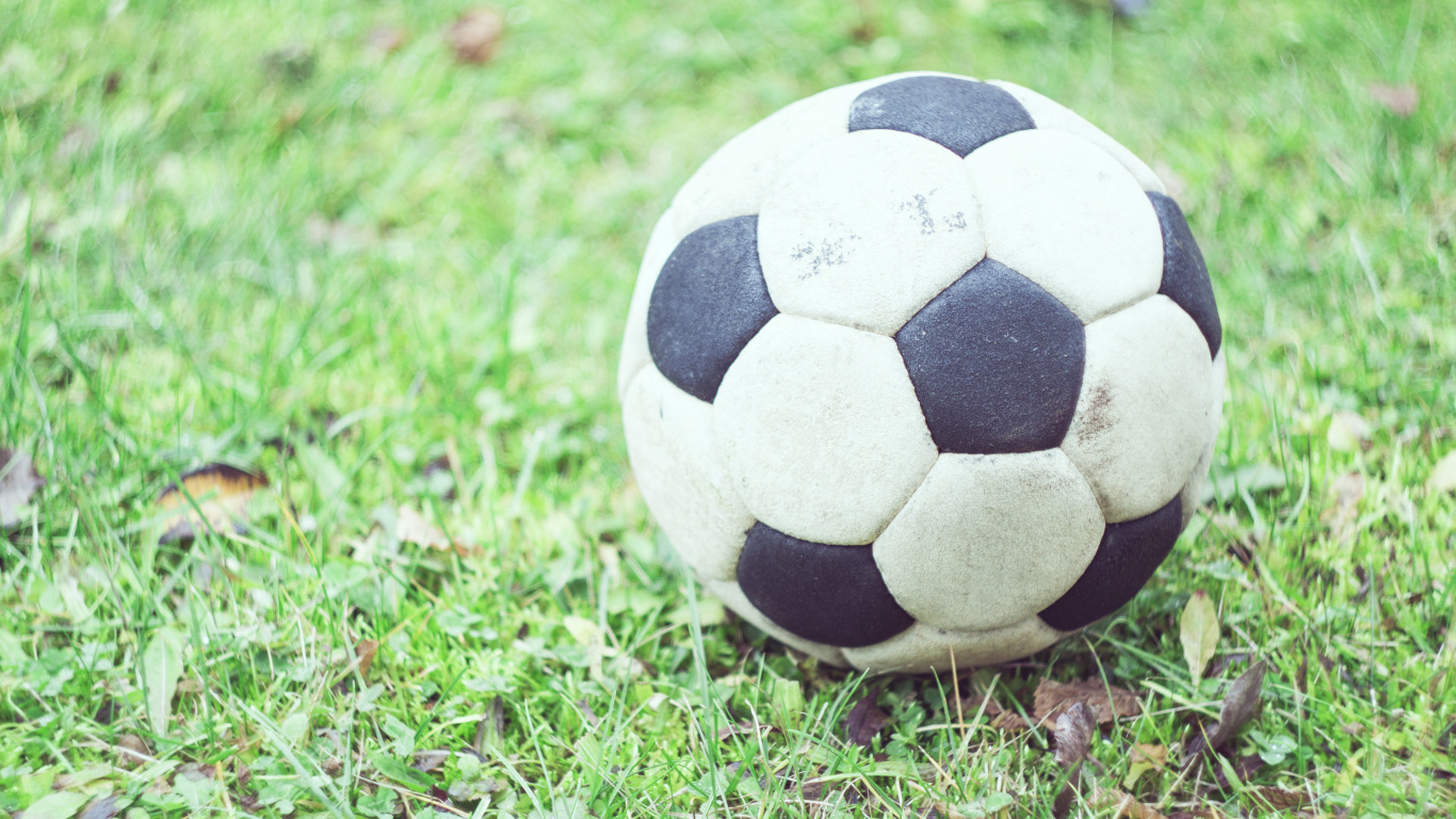 Ballon de Football Blanc et Noir Sur Terrain D'herbe Verte Pendant la Journée. Wallpaper in 1366x768 Resolution