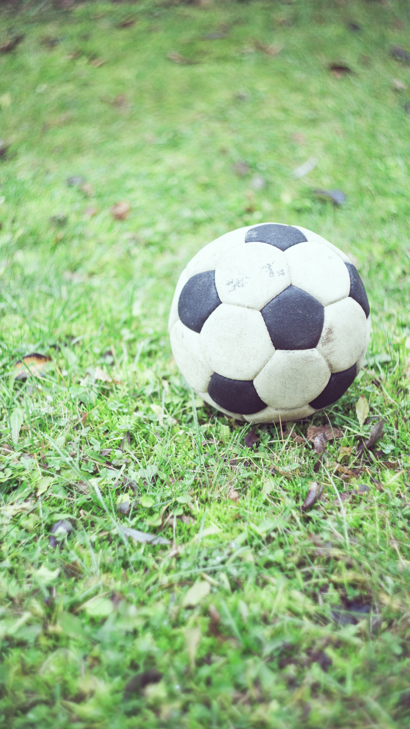 Ballon de Football Blanc et Noir Sur Terrain D'herbe Verte Pendant la Journée. Wallpaper in 1440x2560 Resolution