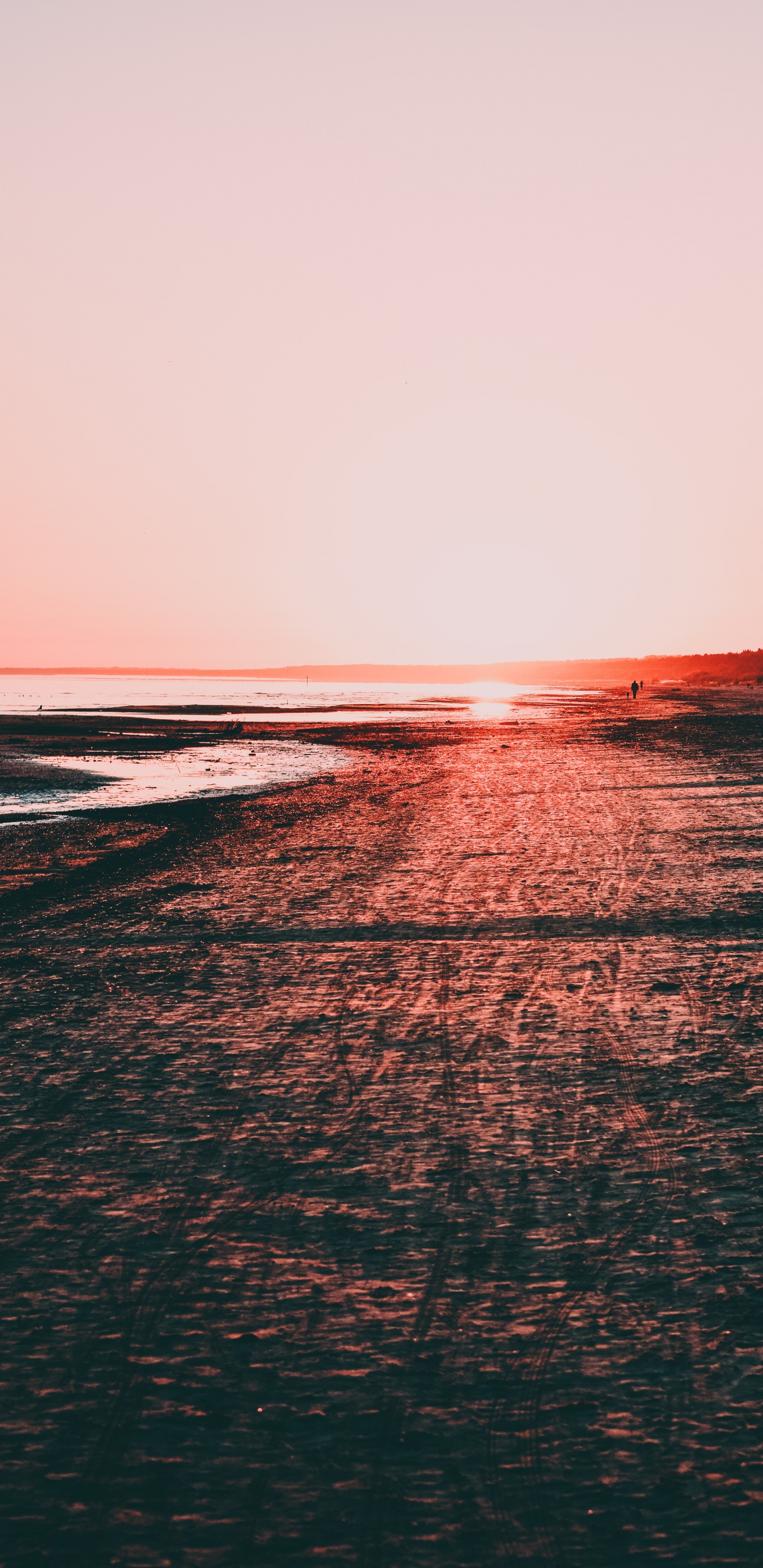 Red, Mer, Plage, Rive, Ciel. Wallpaper in 1440x2960 Resolution