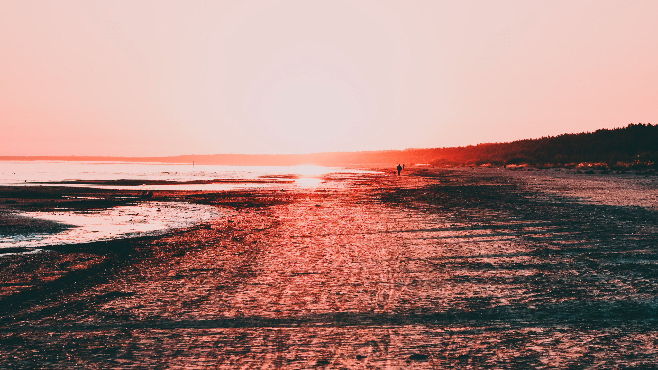 Red, Sea, Beach, Shore, Ungura Ezers. Wallpaper in 2560x1440 Resolution