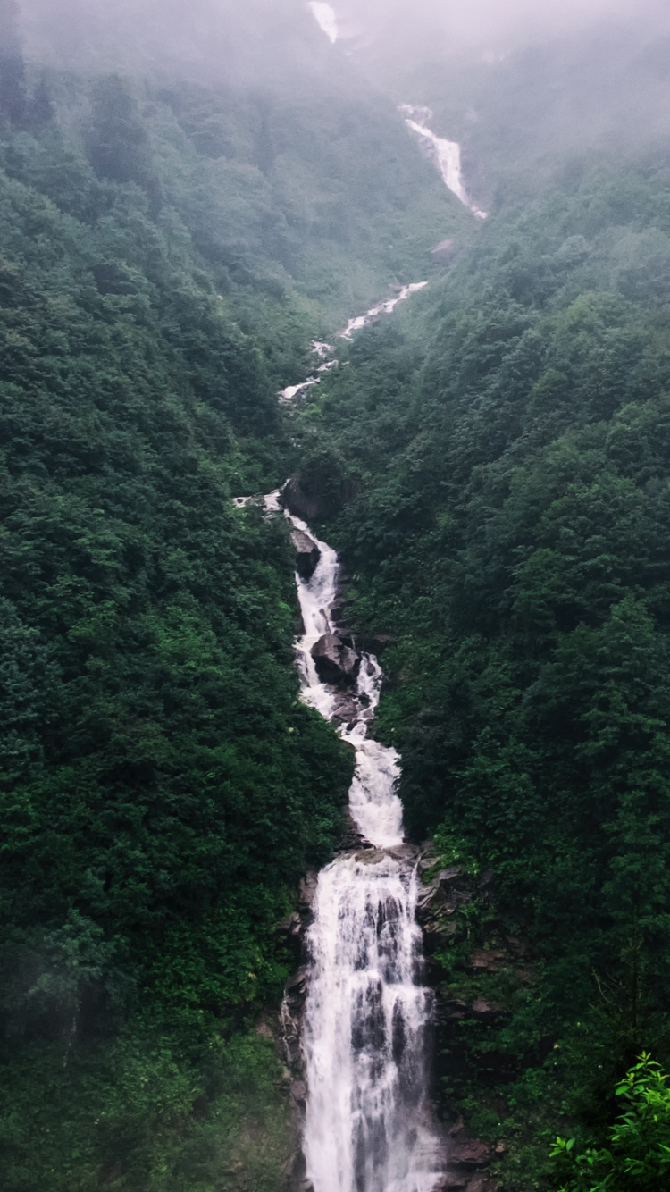 性质, 自然保护区, 山站, 荒野, 热带雨林 壁纸 750x1334 允许