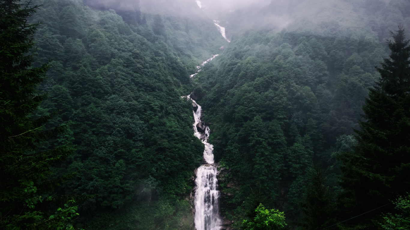 Waterfalls in The Middle of Green Trees. Wallpaper in 1366x768 Resolution