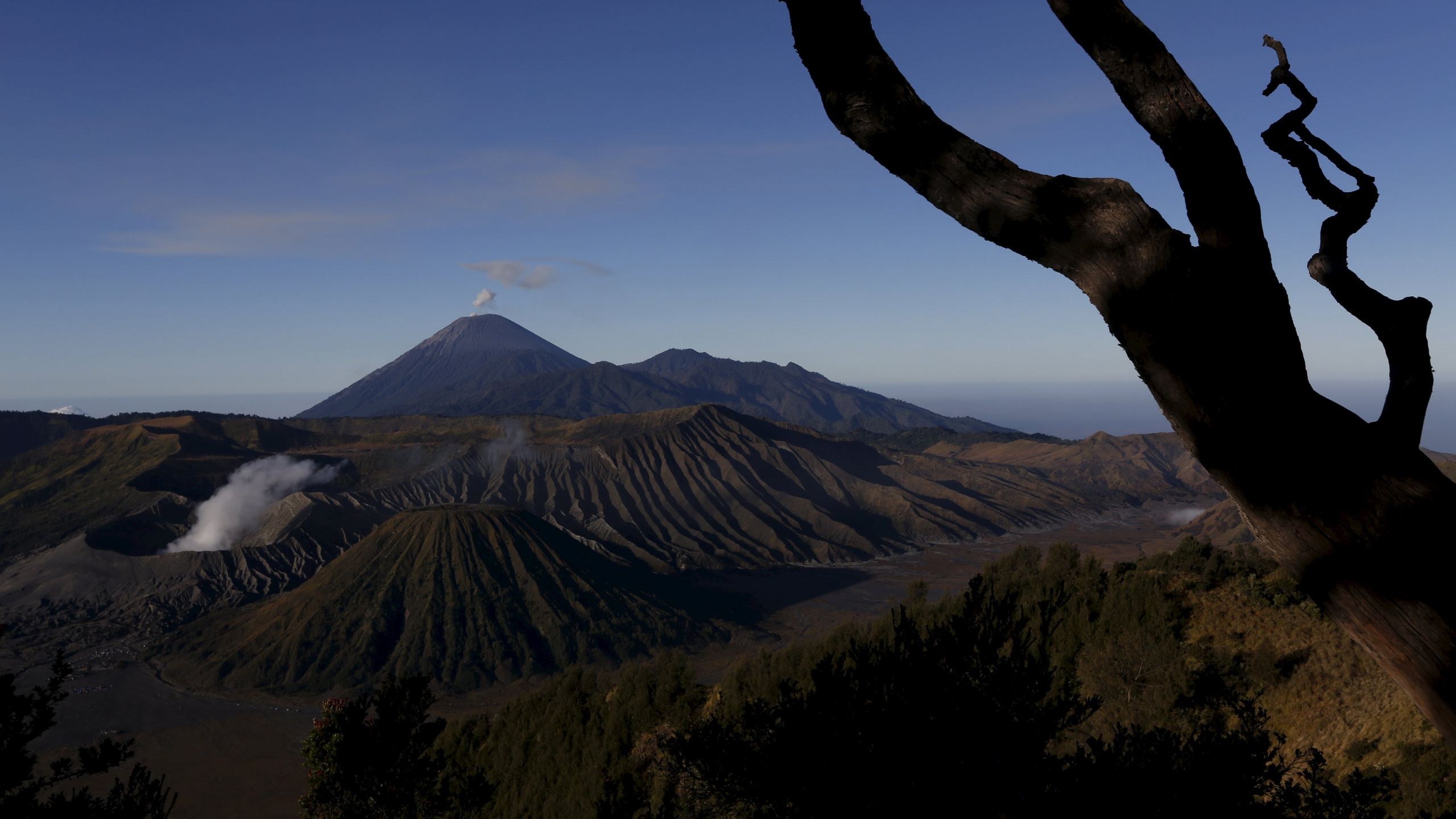 Brown Tree Trunk Near Brown Mountain During Daytime. Wallpaper in 2560x1440 Resolution