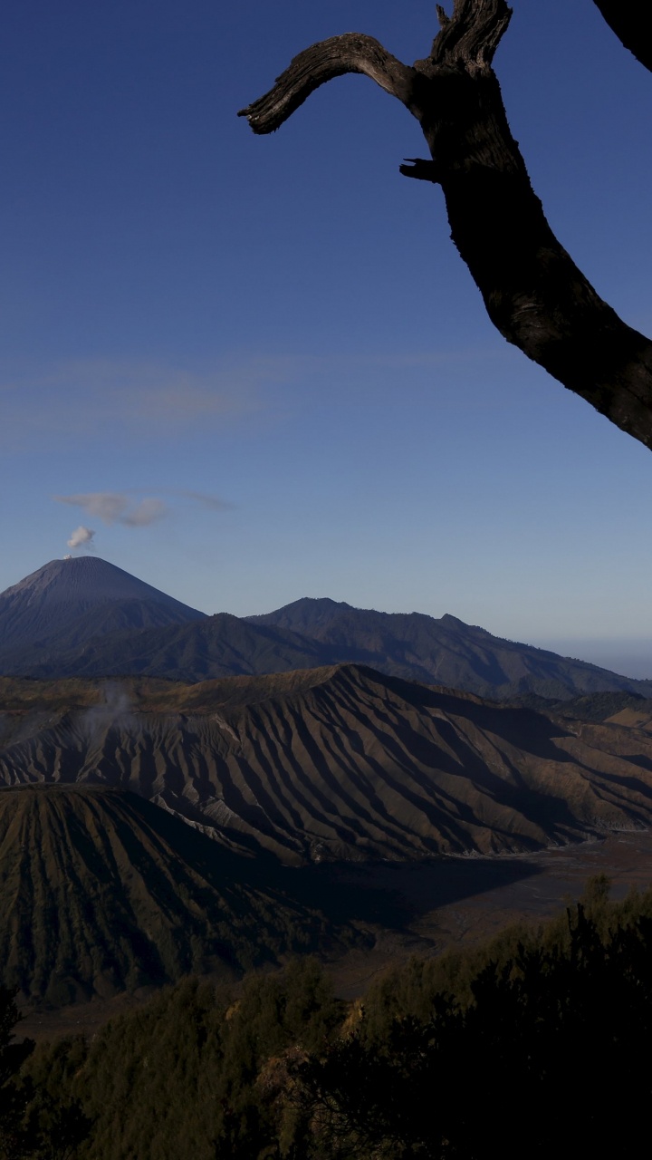 Brown Tree Trunk Near Brown Mountain During Daytime. Wallpaper in 720x1280 Resolution