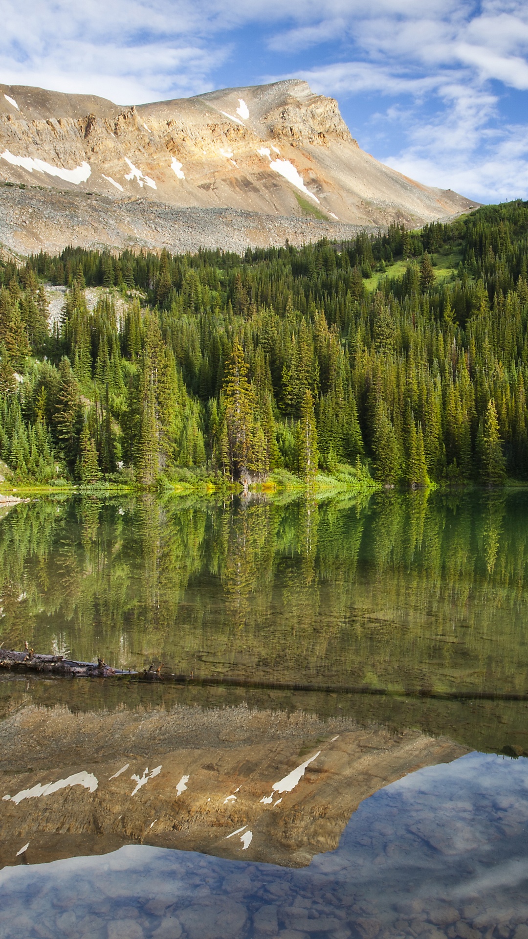 Green Pine Trees Near Lake Under Blue Sky During Daytime. Wallpaper in 1080x1920 Resolution