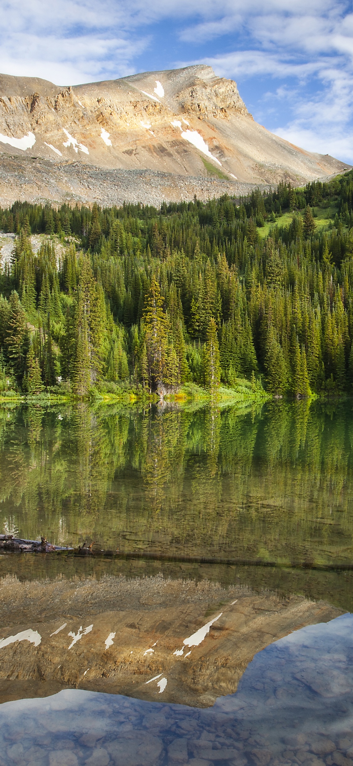 Green Pine Trees Near Lake Under Blue Sky During Daytime. Wallpaper in 1125x2436 Resolution