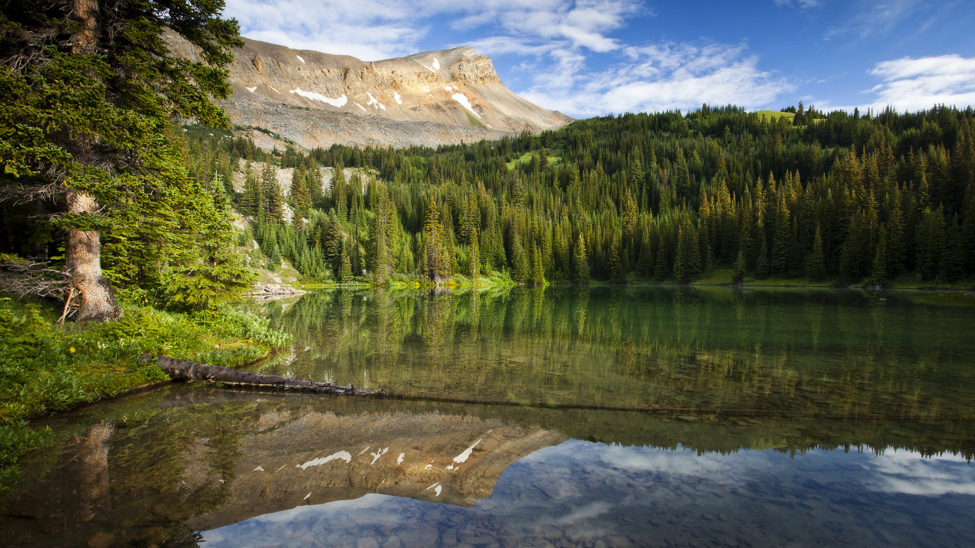 Green Pine Trees Near Lake Under Blue Sky During Daytime. Wallpaper in 1366x768 Resolution