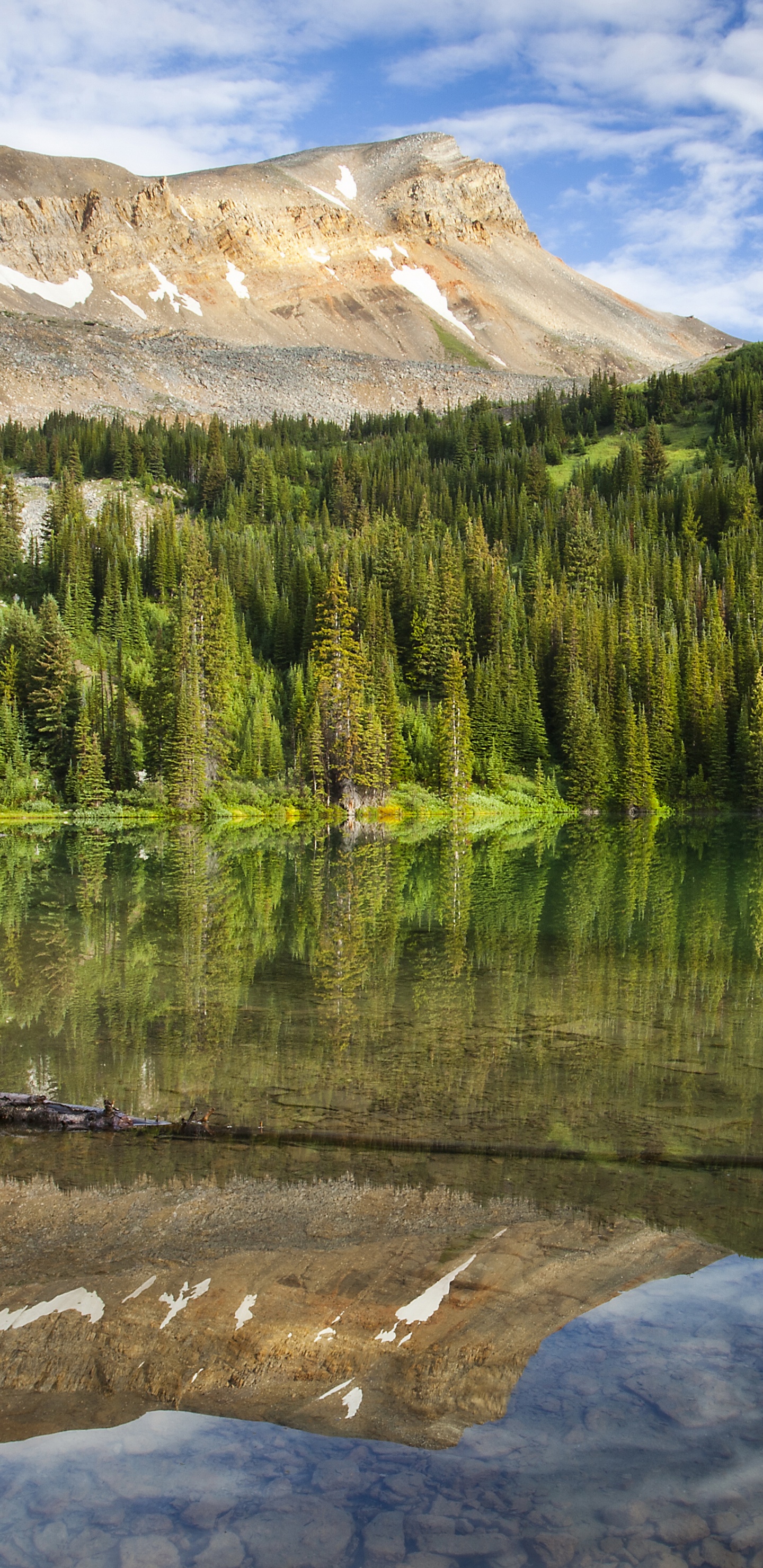 Green Pine Trees Near Lake Under Blue Sky During Daytime. Wallpaper in 1440x2960 Resolution