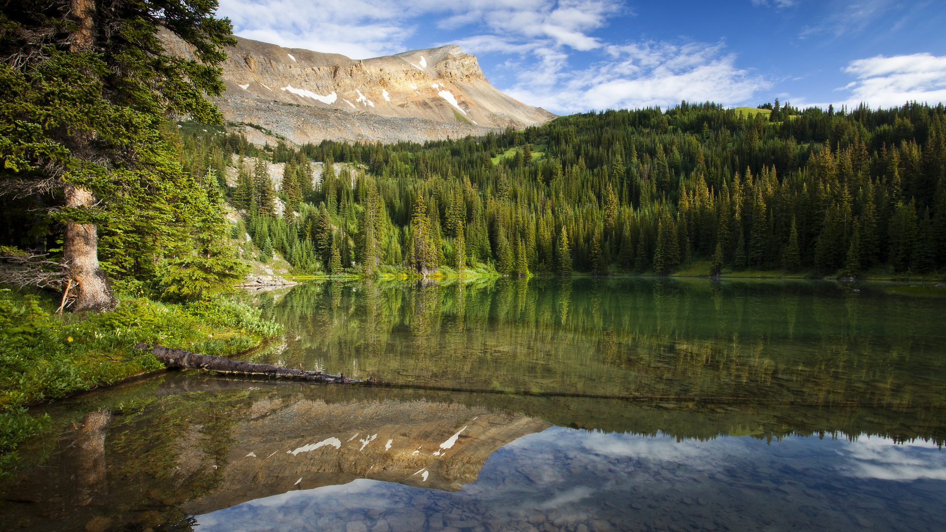 Green Pine Trees Near Lake Under Blue Sky During Daytime. Wallpaper in 1920x1080 Resolution