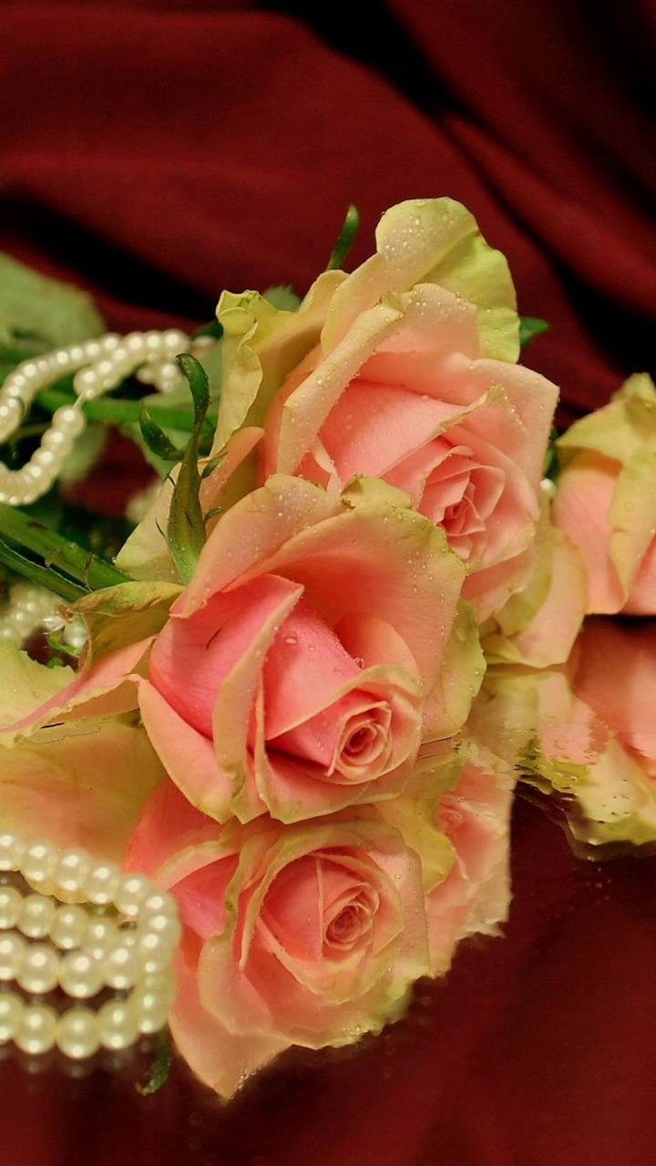 Pink Roses on Red Textile. Wallpaper in 720x1280 Resolution