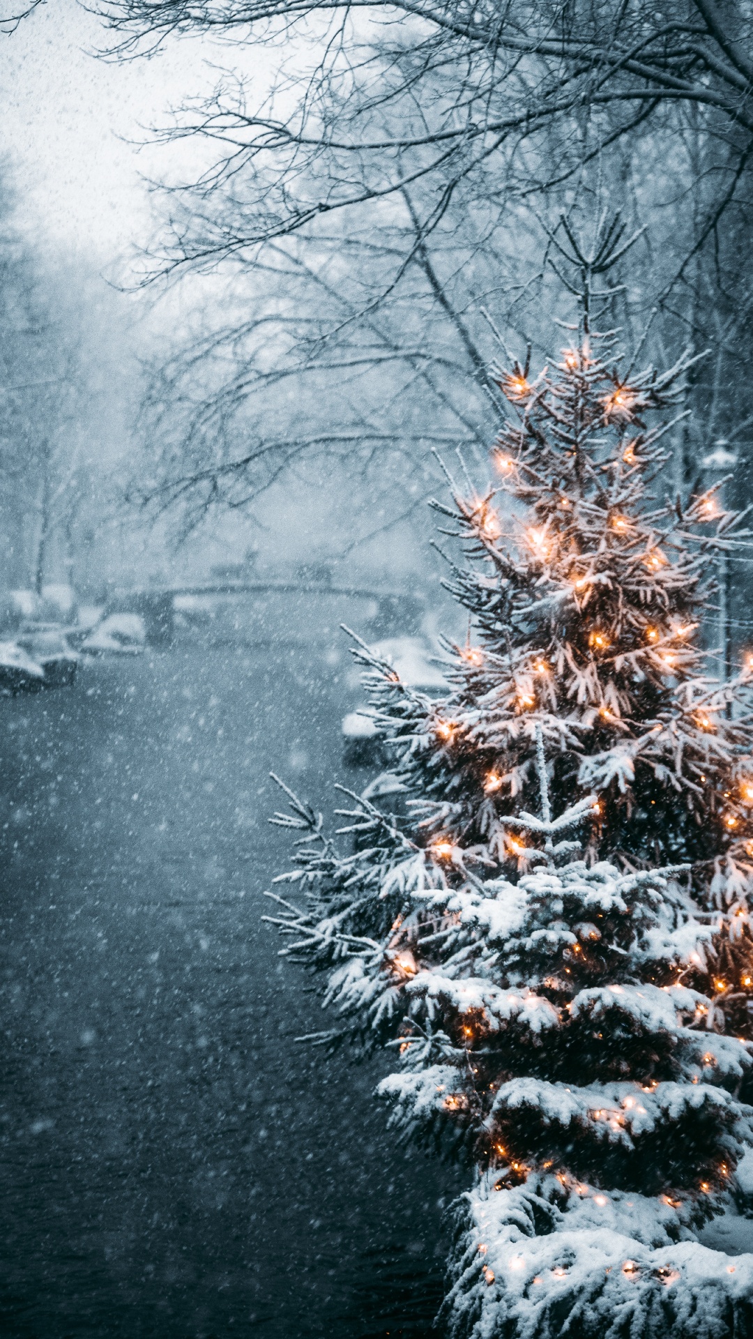 Snow Covered Trees During Daytime. Wallpaper in 1080x1920 Resolution