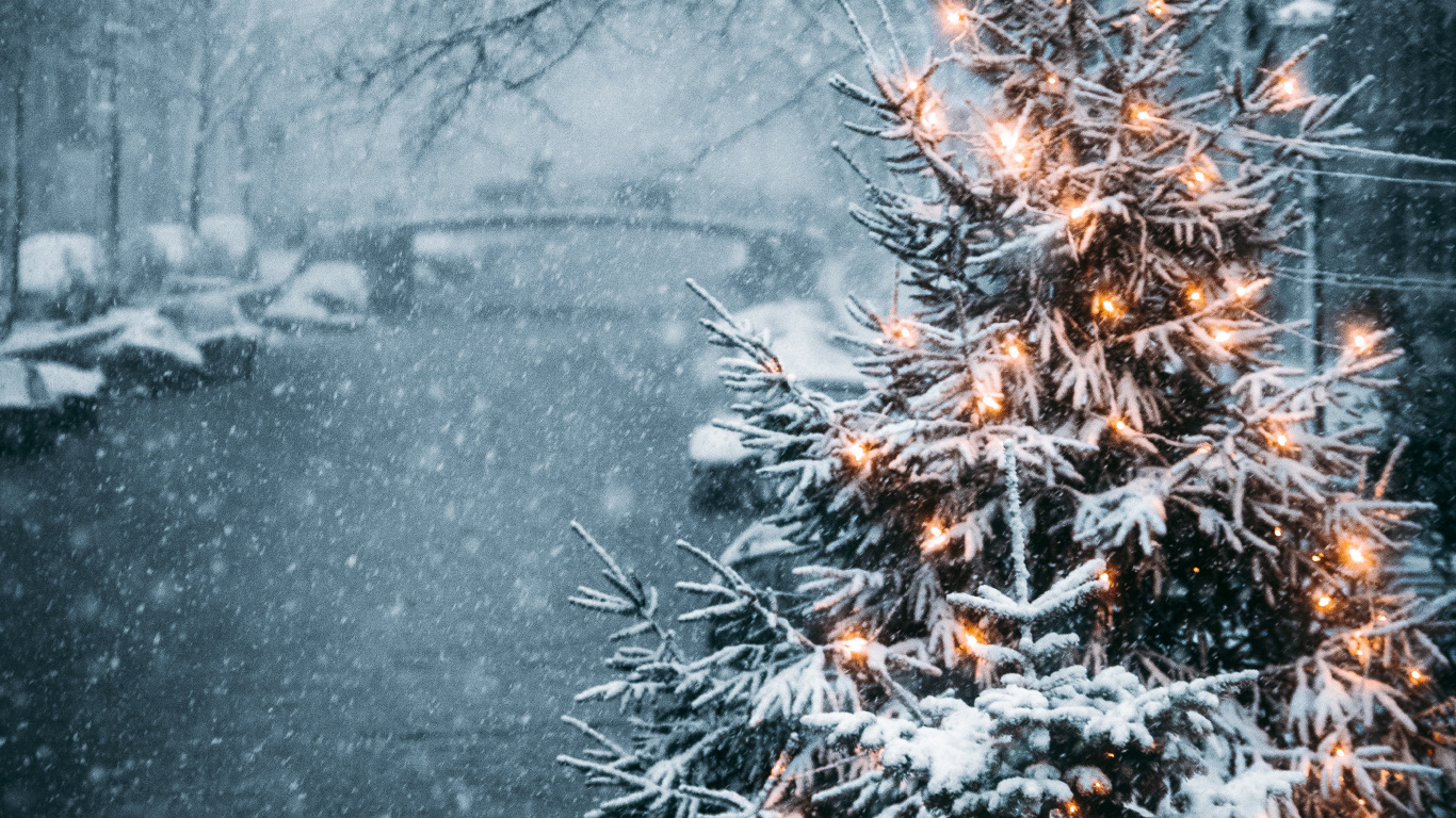 Download 1366x768 Wallpaper Snow Covered Trees During Daytime Snow Covered Trees During Daytime. Wallpaper in 1366x768 Resolution
