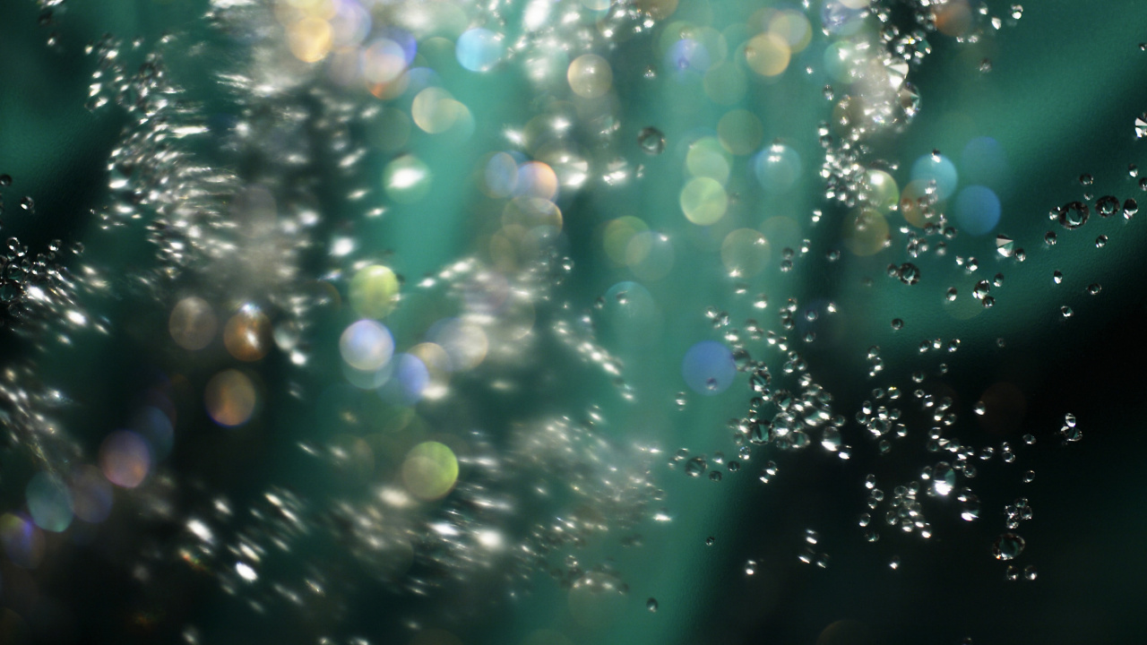 Water Droplets on Glass During Daytime. Wallpaper in 1280x720 Resolution