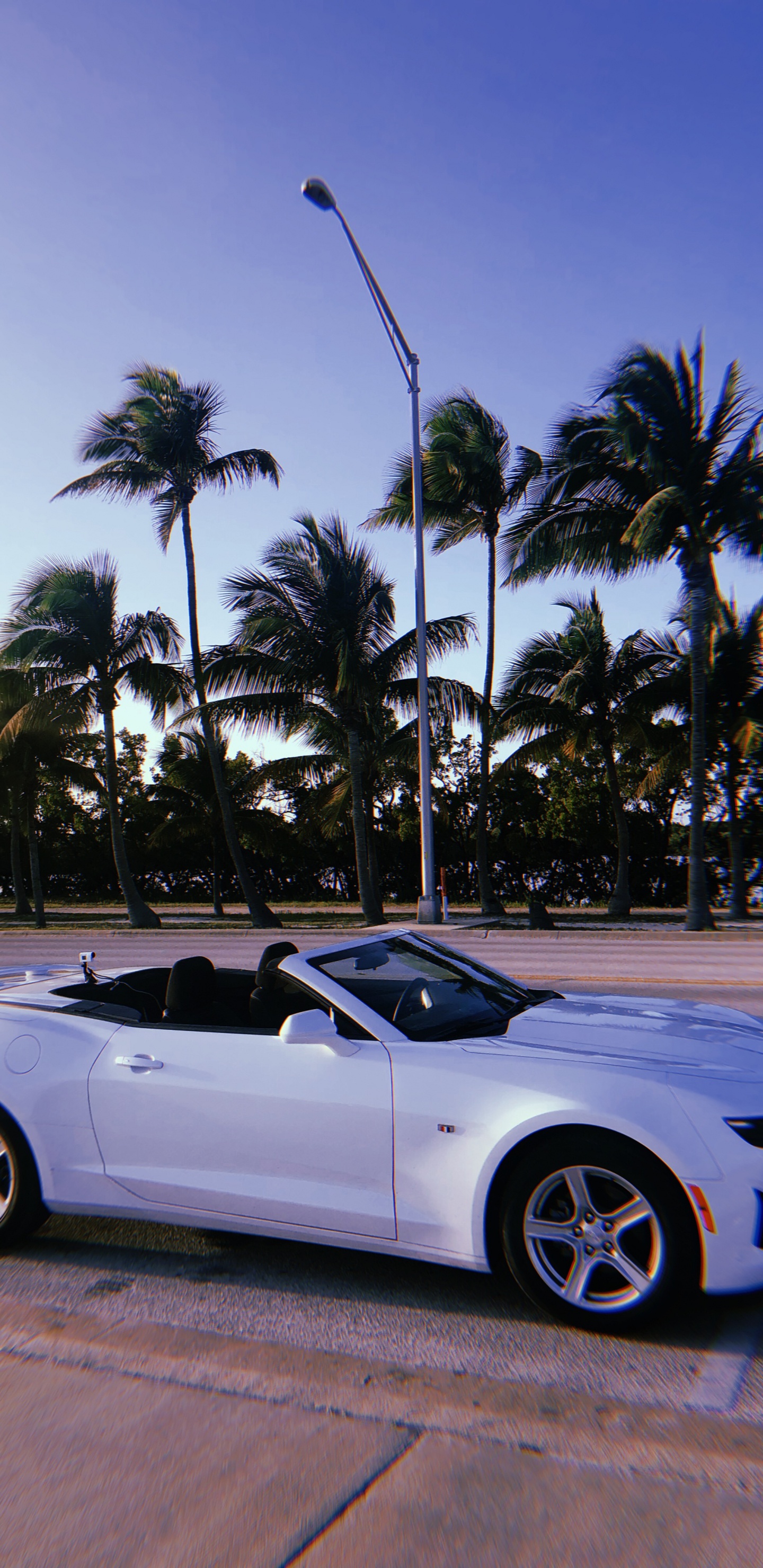 Chevrolet Camaro, Miami, Cabrio, König, Mitte Größe Auto. Wallpaper in 1440x2960 Resolution