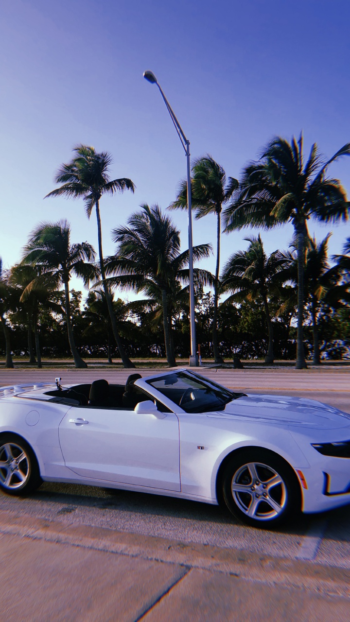 Chevrolet Camaro, Miami, Cabrio, König, Mitte Größe Auto. Wallpaper in 720x1280 Resolution