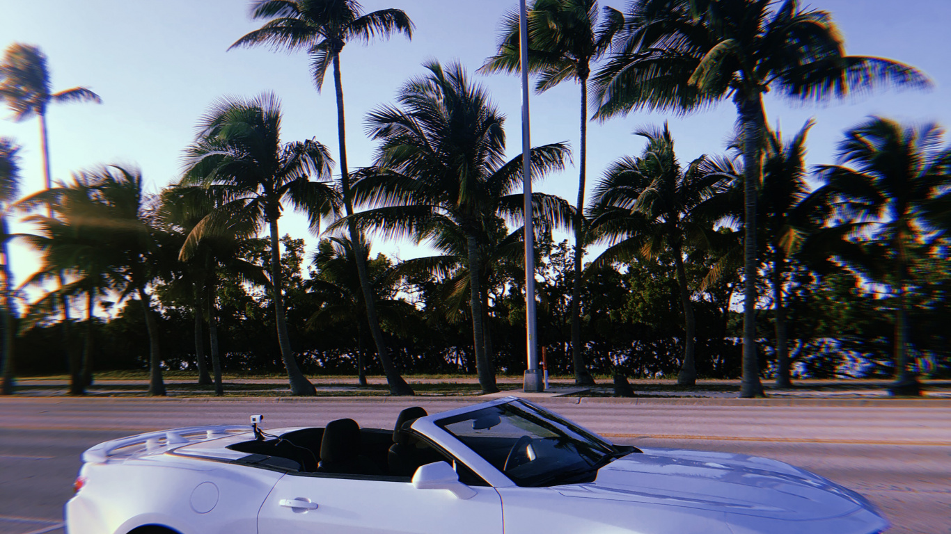 Chevrolet Camaro, Miami, Convertible, Roi, Voiture Compacte. Wallpaper in 1366x768 Resolution