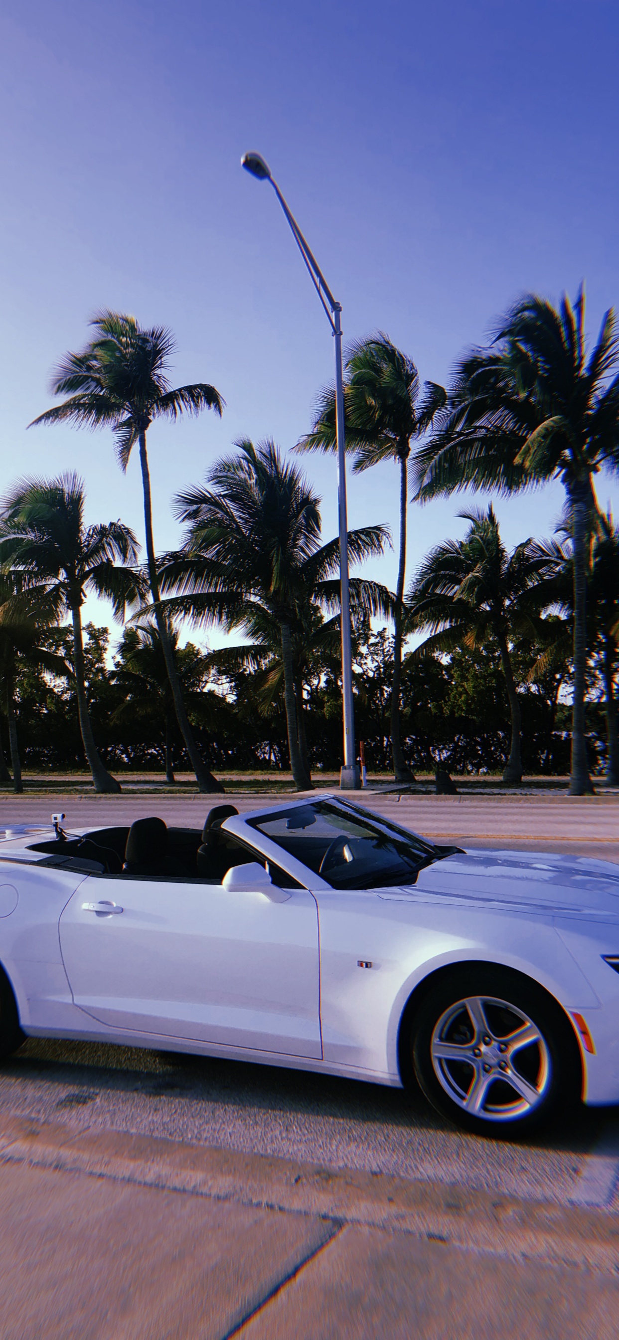 Chevrolet Camaro, Miami, Convertible, King, Compact Car. Wallpaper in 1242x2688 Resolution