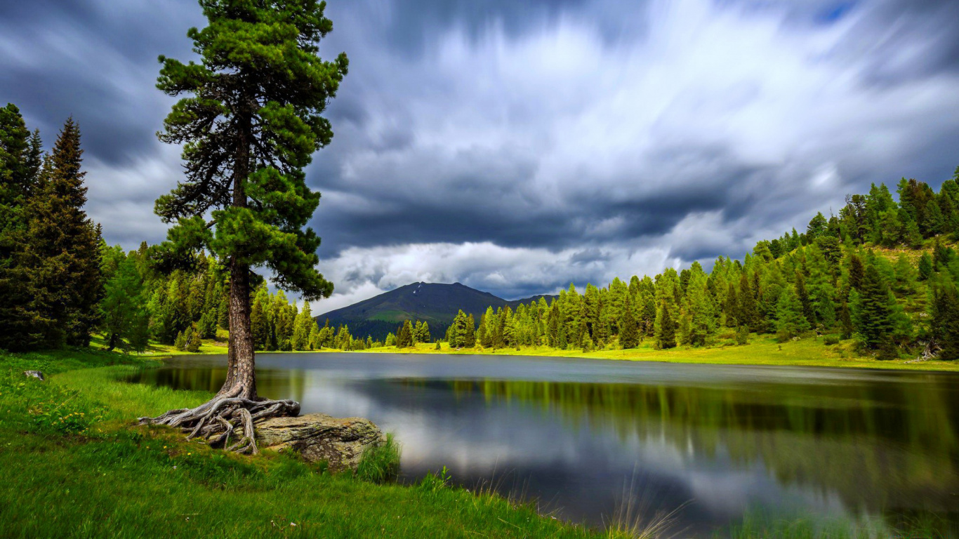 Green Tree Near Lake Under White Clouds and Blue Sky During Daytime. Wallpaper in 1366x768 Resolution
