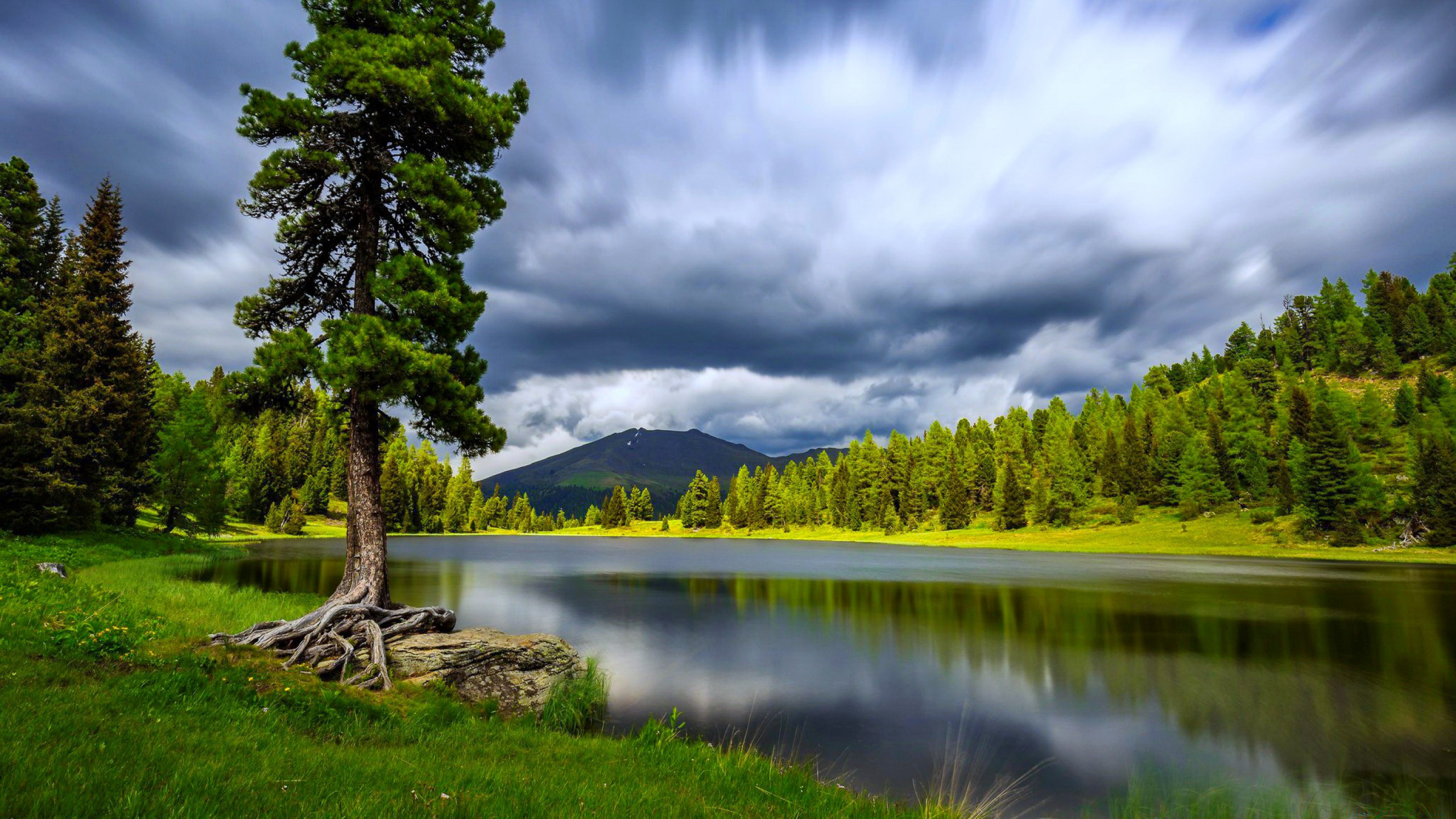 Green Tree Near Lake Under White Clouds and Blue Sky During Daytime. Wallpaper in 2560x1440 Resolution