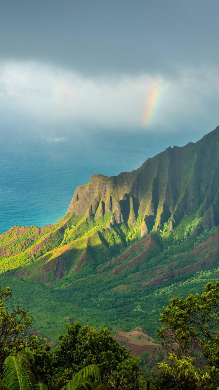 Kalalau Lookout, Kalalau Valley, Mountainous Landforms, Mountain, Nature. Wallpaper in 750x1334 Resolution