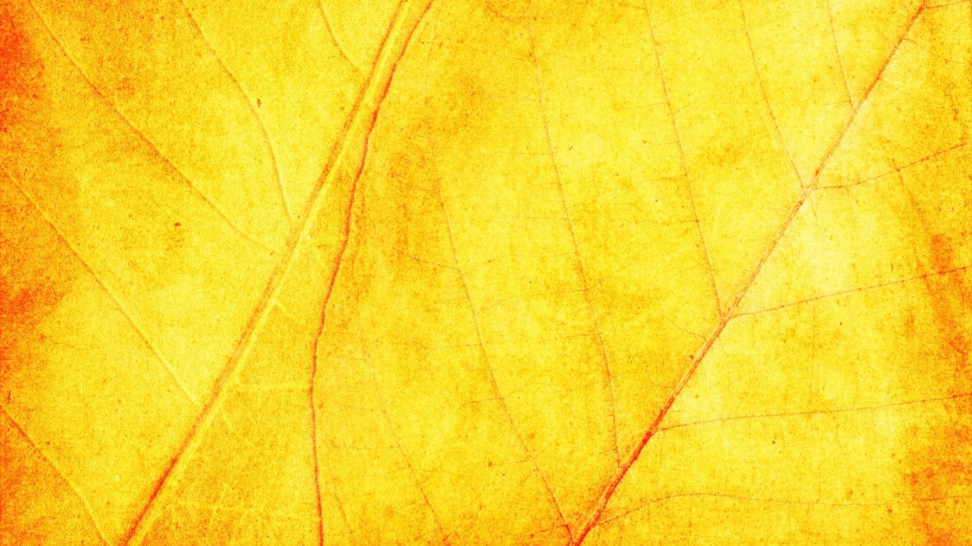 Gelbe Und Rote Linie Abbildung. Wallpaper in 1366x768 Resolution