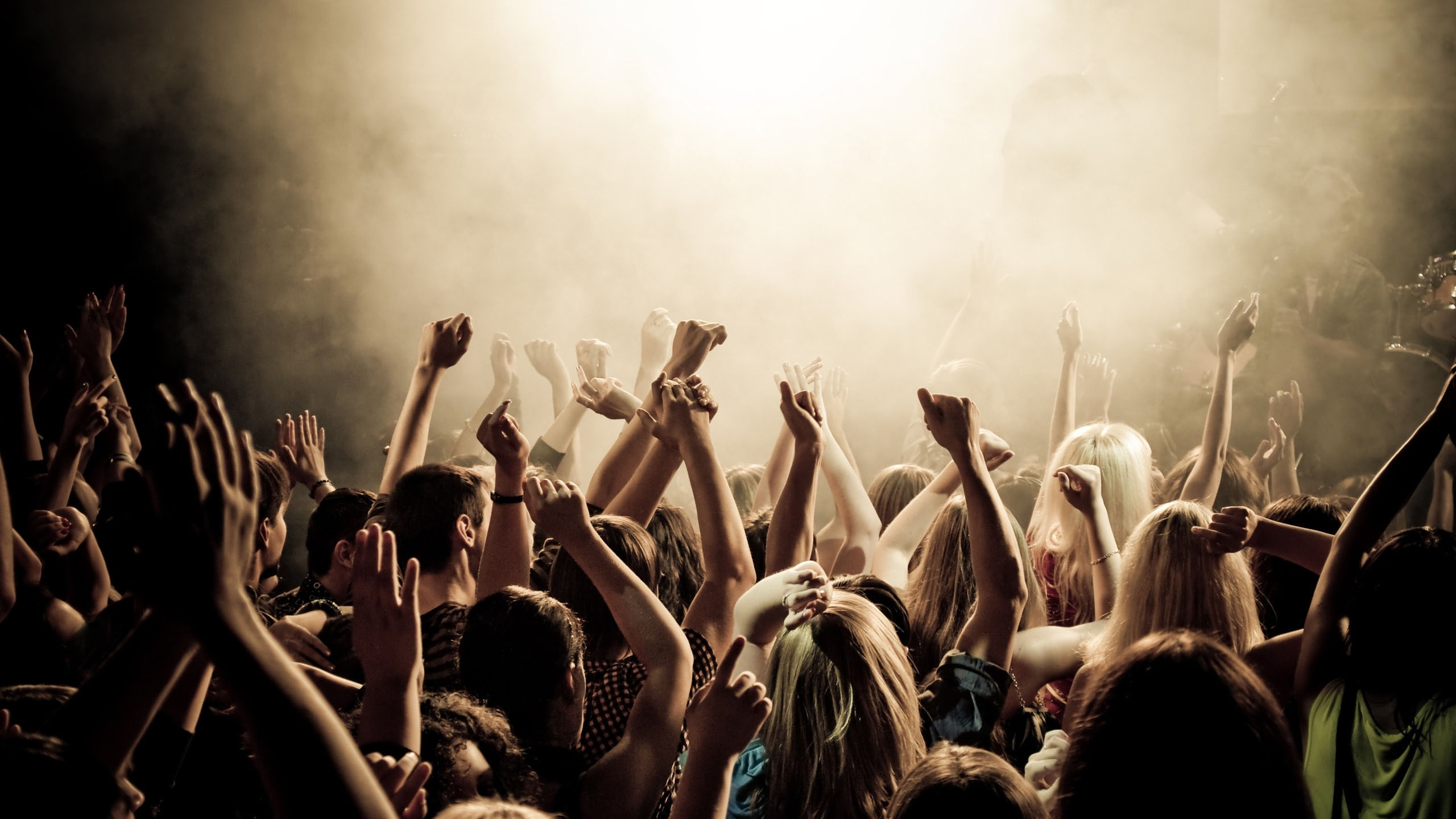 Concert, Rock Concert, Crowd, Performance, People. Wallpaper in 2560x1440 Resolution