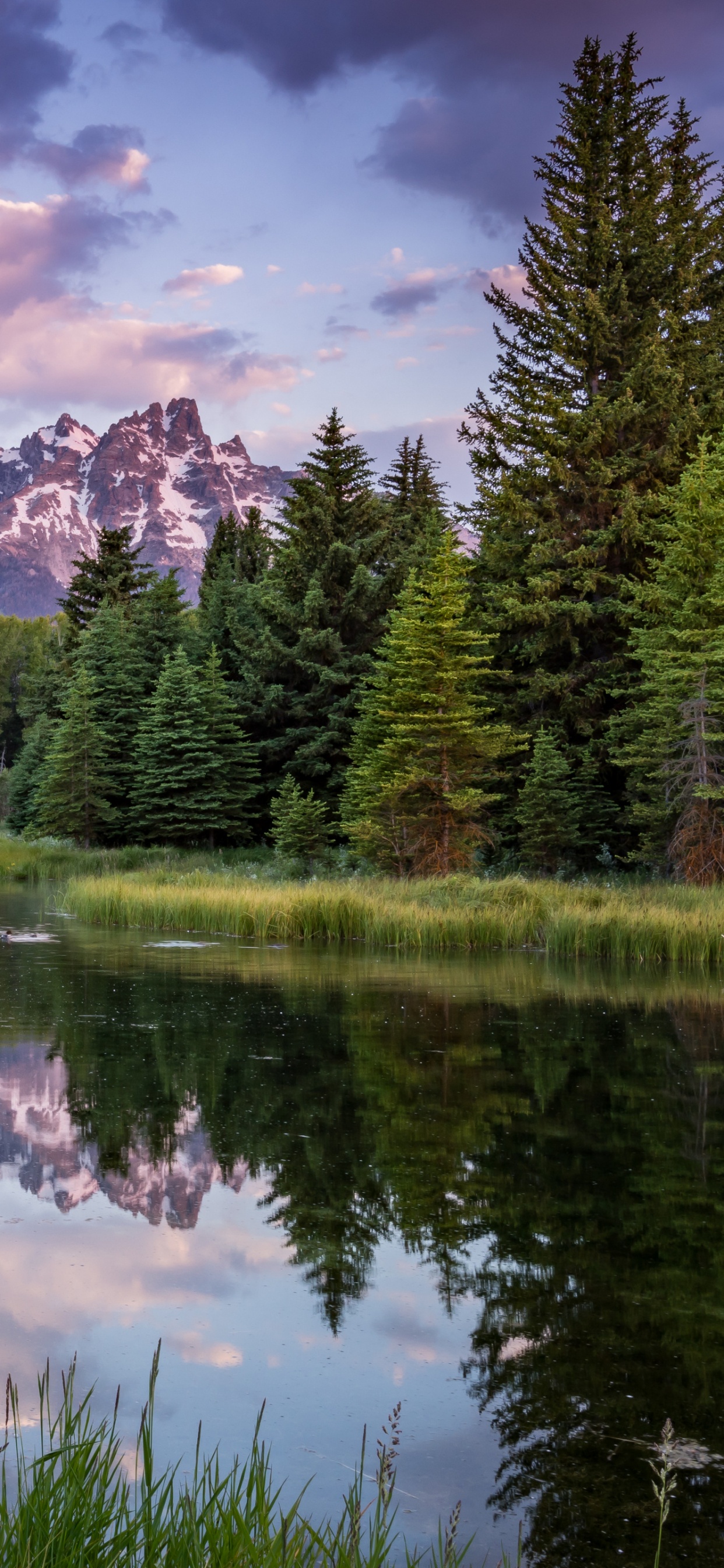 Réflexion, Nature, Eau, Les Ressources en Eau, Paysage Naturel. Wallpaper in 1242x2688 Resolution