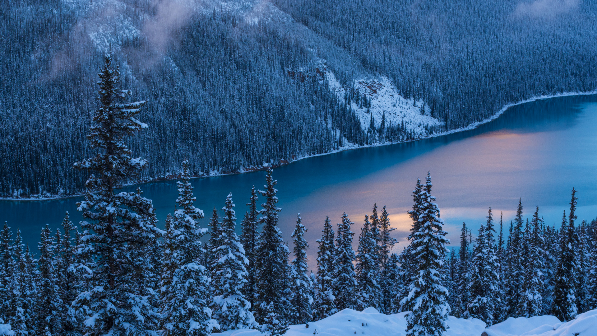 Snow Covered Pine Trees and Mountains During Daytime. Wallpaper in 1920x1080 Resolution