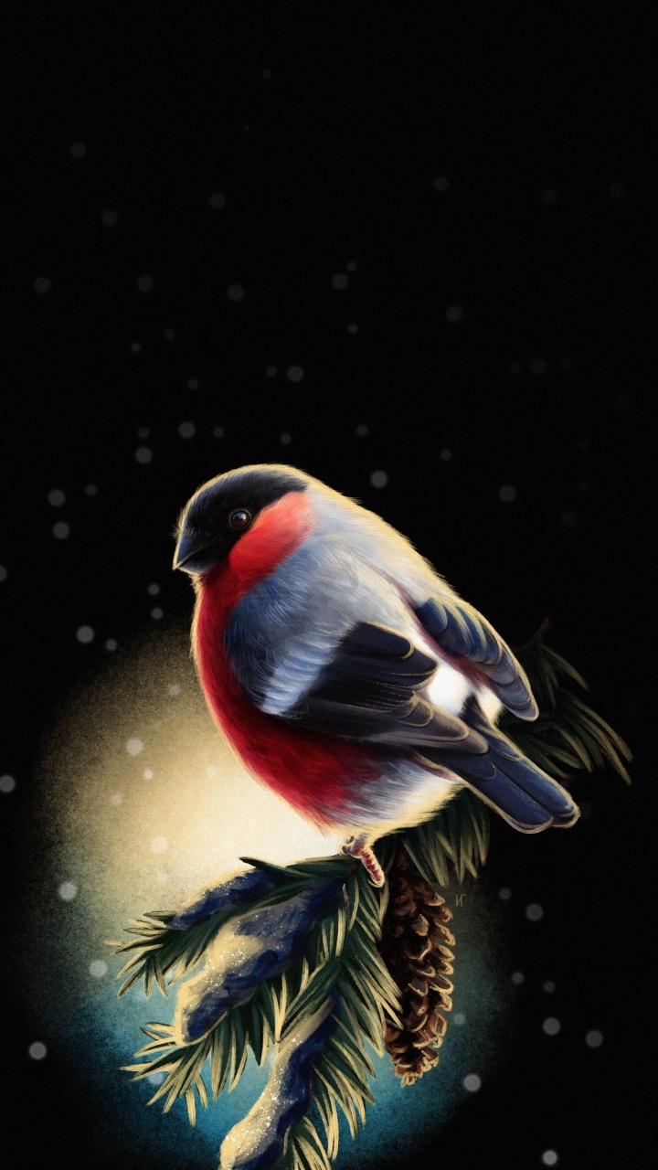 Beak, Birds, Drawcutie - Draw Cute Girls, Finches, Bird. Wallpaper in 720x1280 Resolution