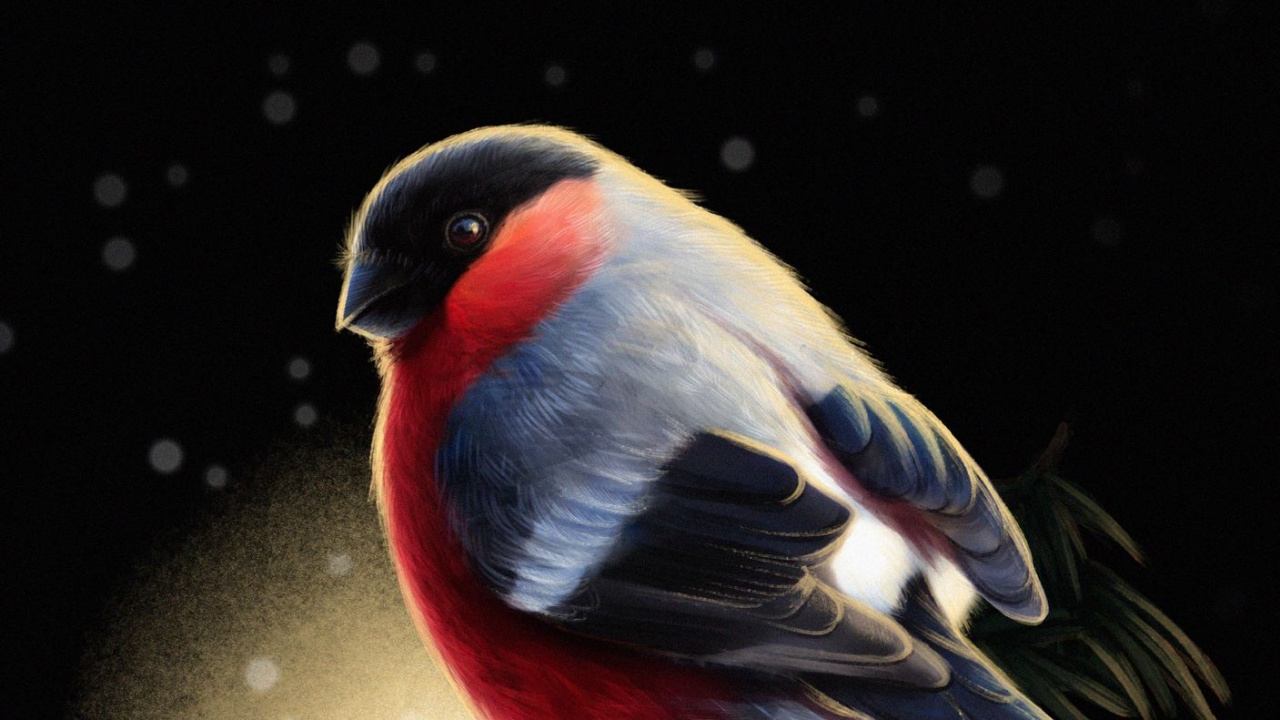 Pico, Pájaros, Drawcutie - Dibujar Chicas Lindas, Pinzón, Ave. Wallpaper in 1280x720 Resolution