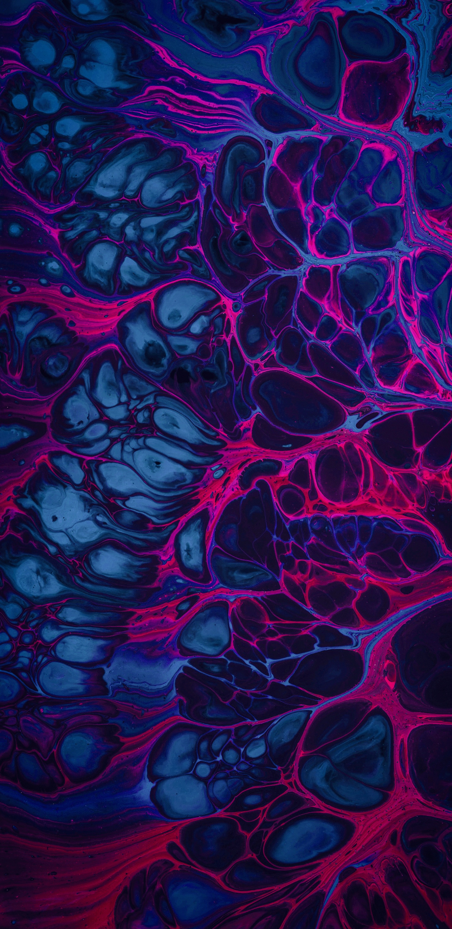 Fraktale Kunst, Visual Arts, Kunst, Digitale Kunst, Grafik-design. Wallpaper in 1440x2960 Resolution