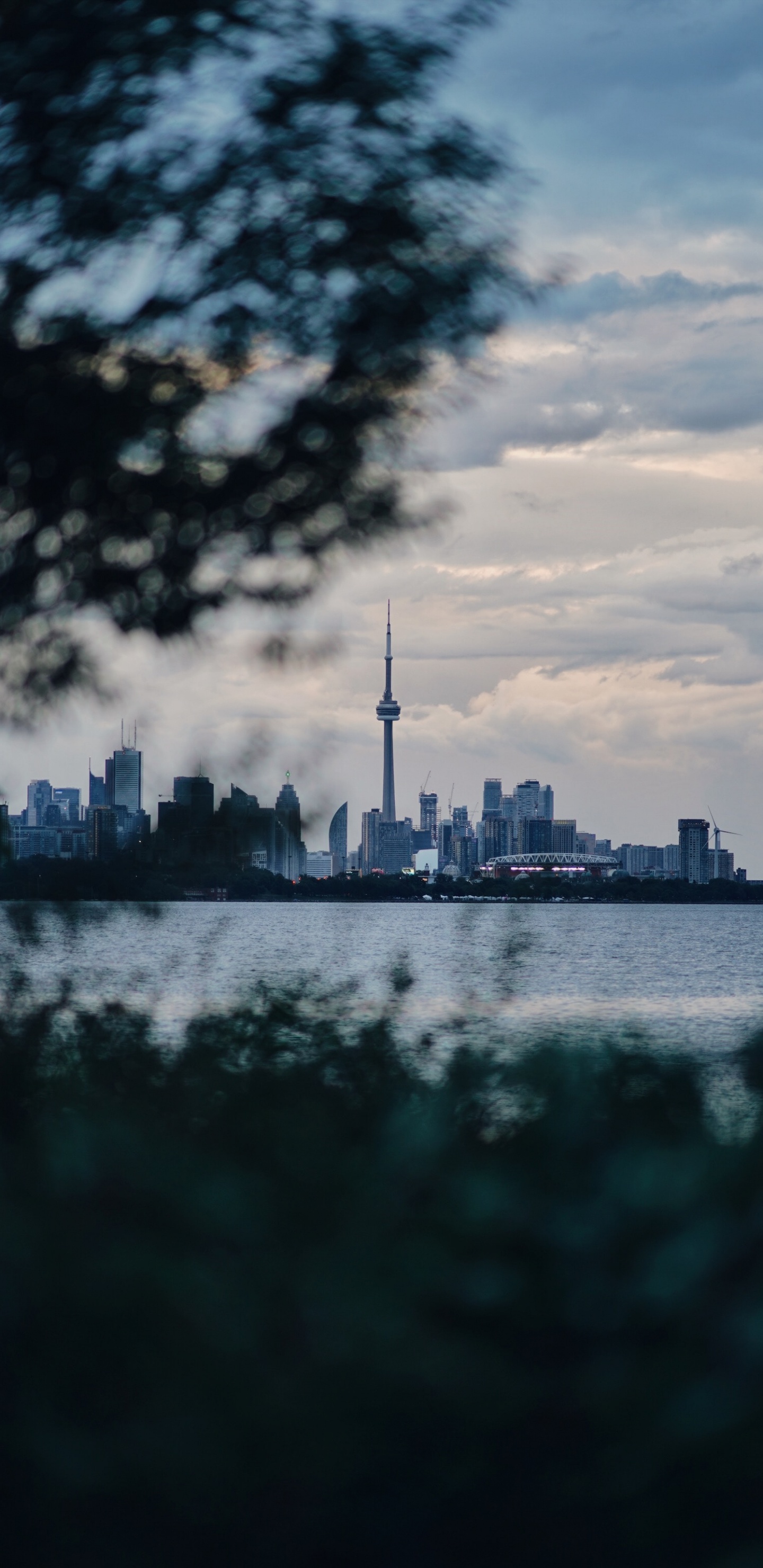 Skyline Der Stadt Über Gewässer Während Des Tages. Wallpaper in 1440x2960 Resolution