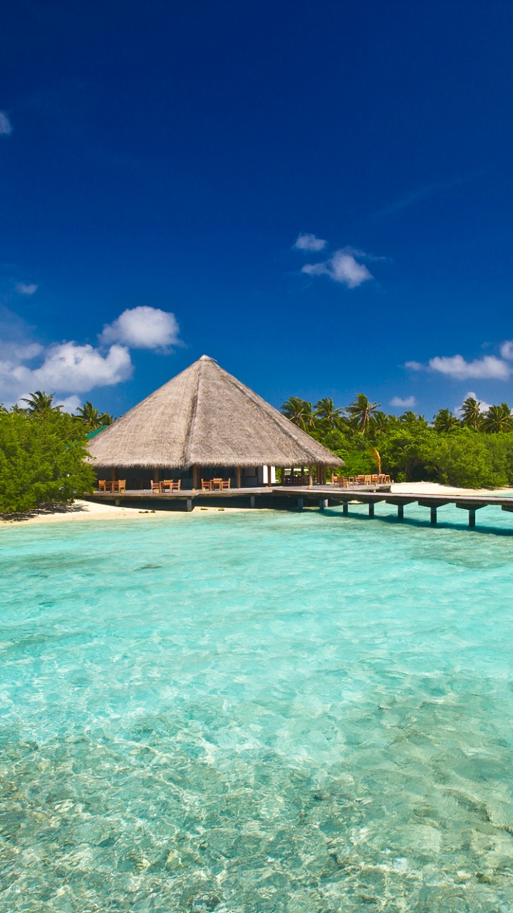 Brown Wooden House on Green Water Under Blue Sky During Daytime. Wallpaper in 720x1280 Resolution