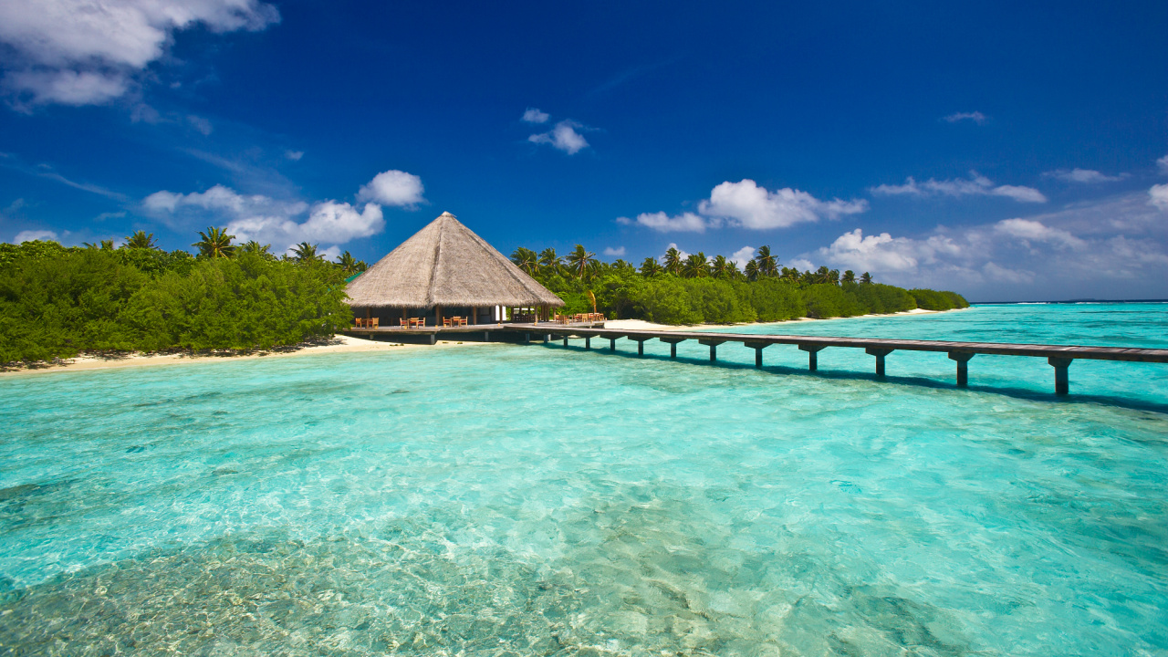 Maison en Bois Marron Sur L'eau Verte Sous Ciel Bleu Pendant la Journée. Wallpaper in 1280x720 Resolution