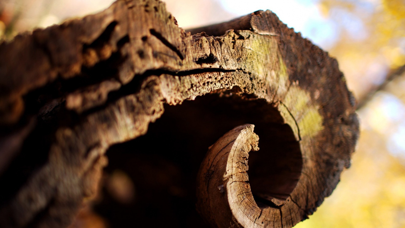 Madera Marrón Con Agujero en Fotografía de Cerca. Wallpaper in 1366x768 Resolution