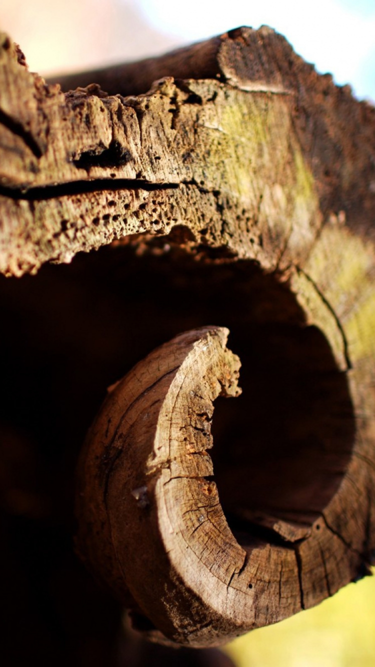 Braunes Holz Mit Loch in Nahaufnahmen. Wallpaper in 750x1334 Resolution
