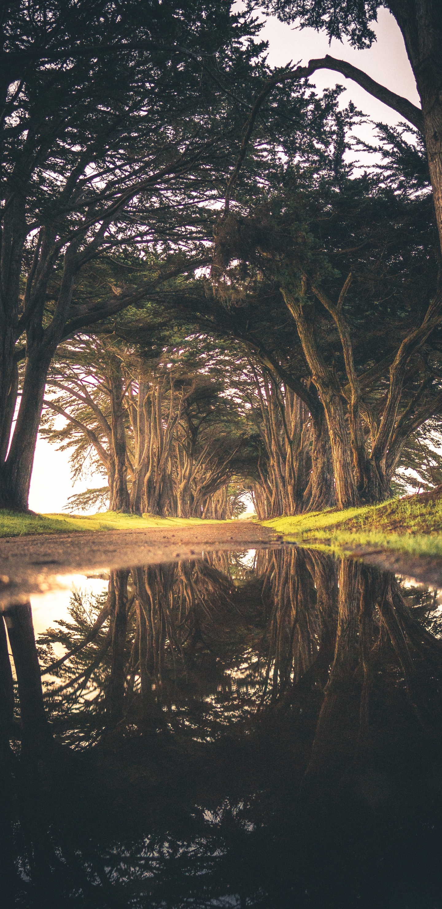 Eau, Nature, Réflexion, Environnement Naturel, Voie Navigable. Wallpaper in 1440x2960 Resolution