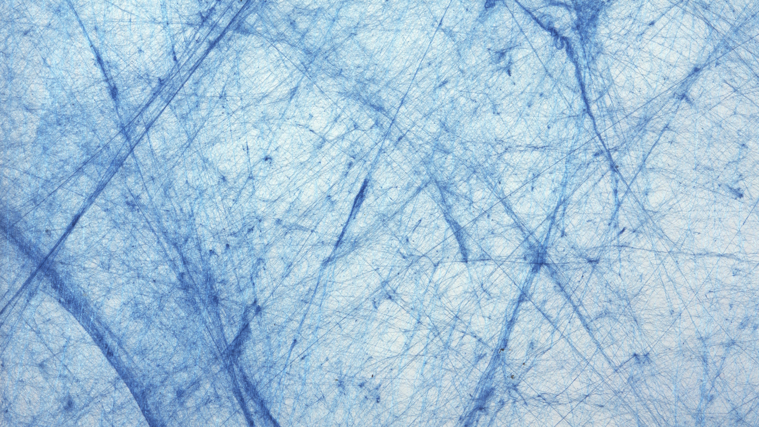 Blaue Und Weiße Abstrakte Malerei. Wallpaper in 2560x1440 Resolution