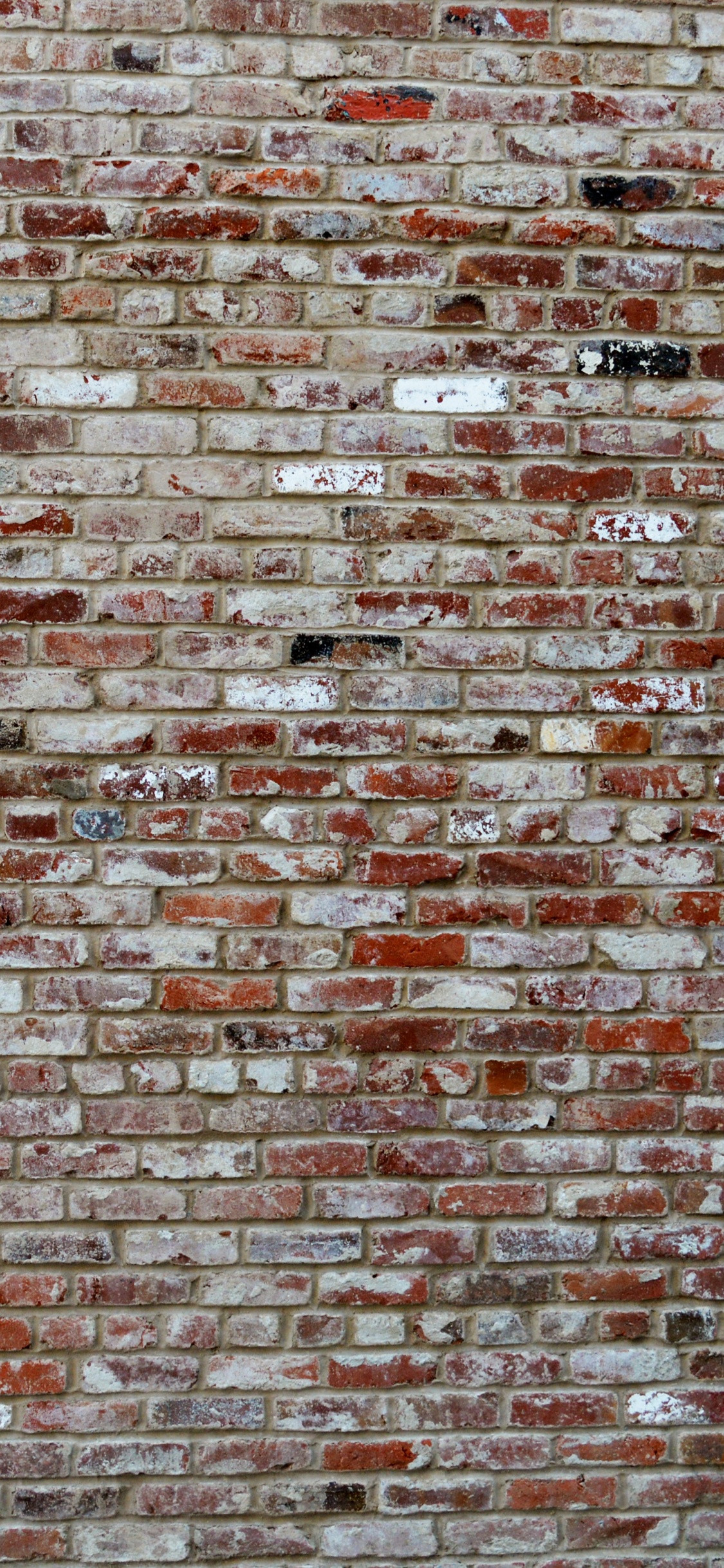 Mur de Briques Brunes et Noires. Wallpaper in 1125x2436 Resolution