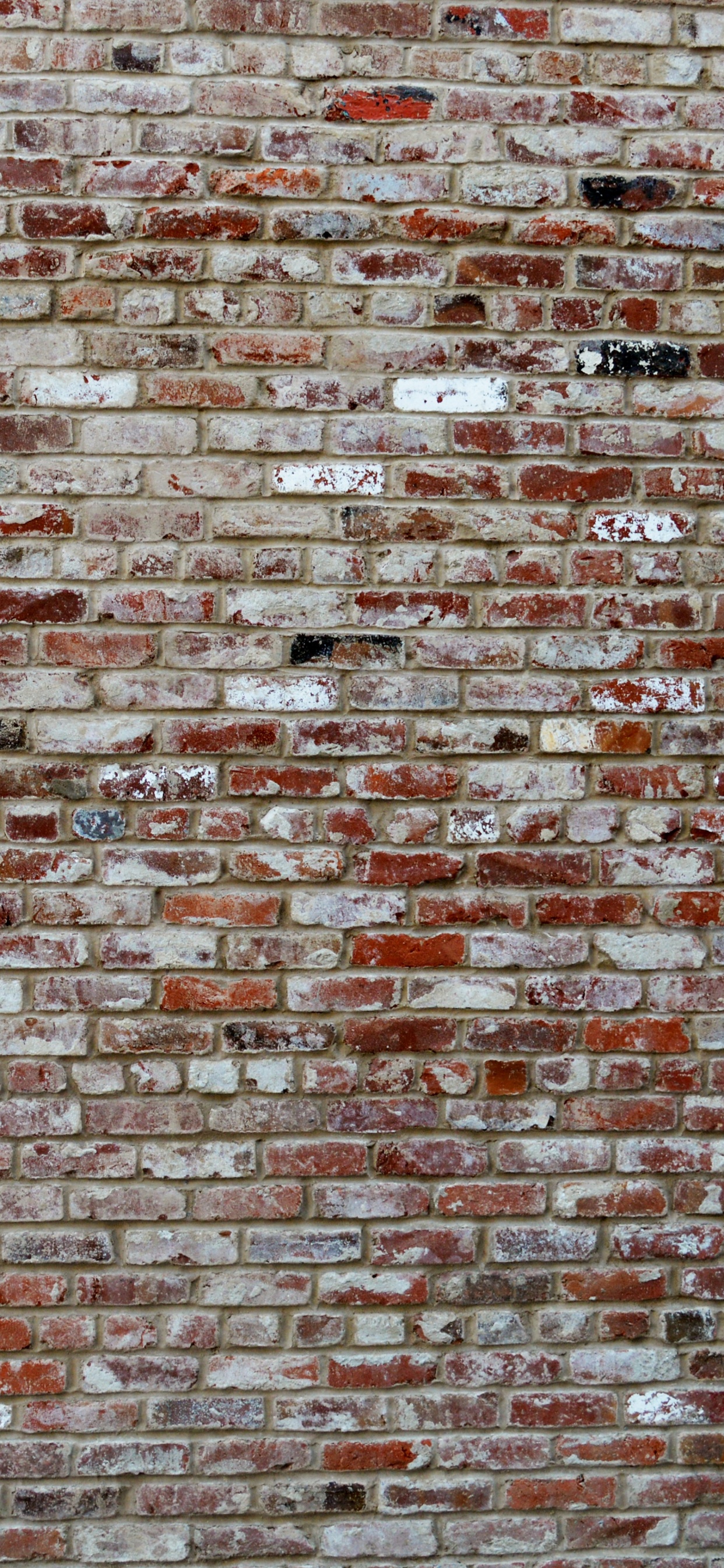 Mur de Briques Brunes et Noires. Wallpaper in 1242x2688 Resolution