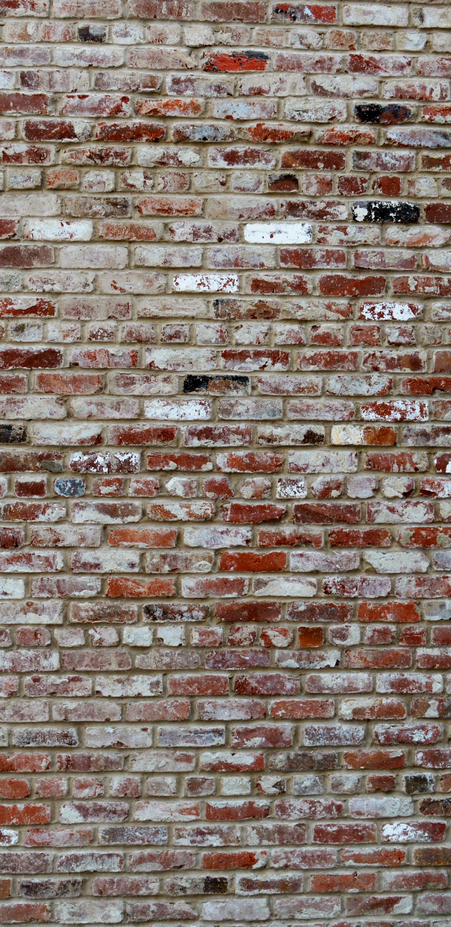 Brown and Black Brick Wall. Wallpaper in 1440x2960 Resolution
